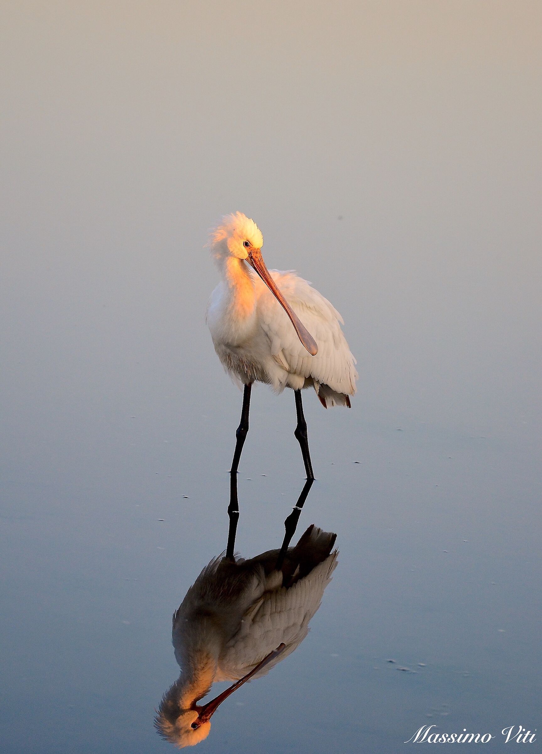 Spatola allo specchio alle prime luci dell'alba