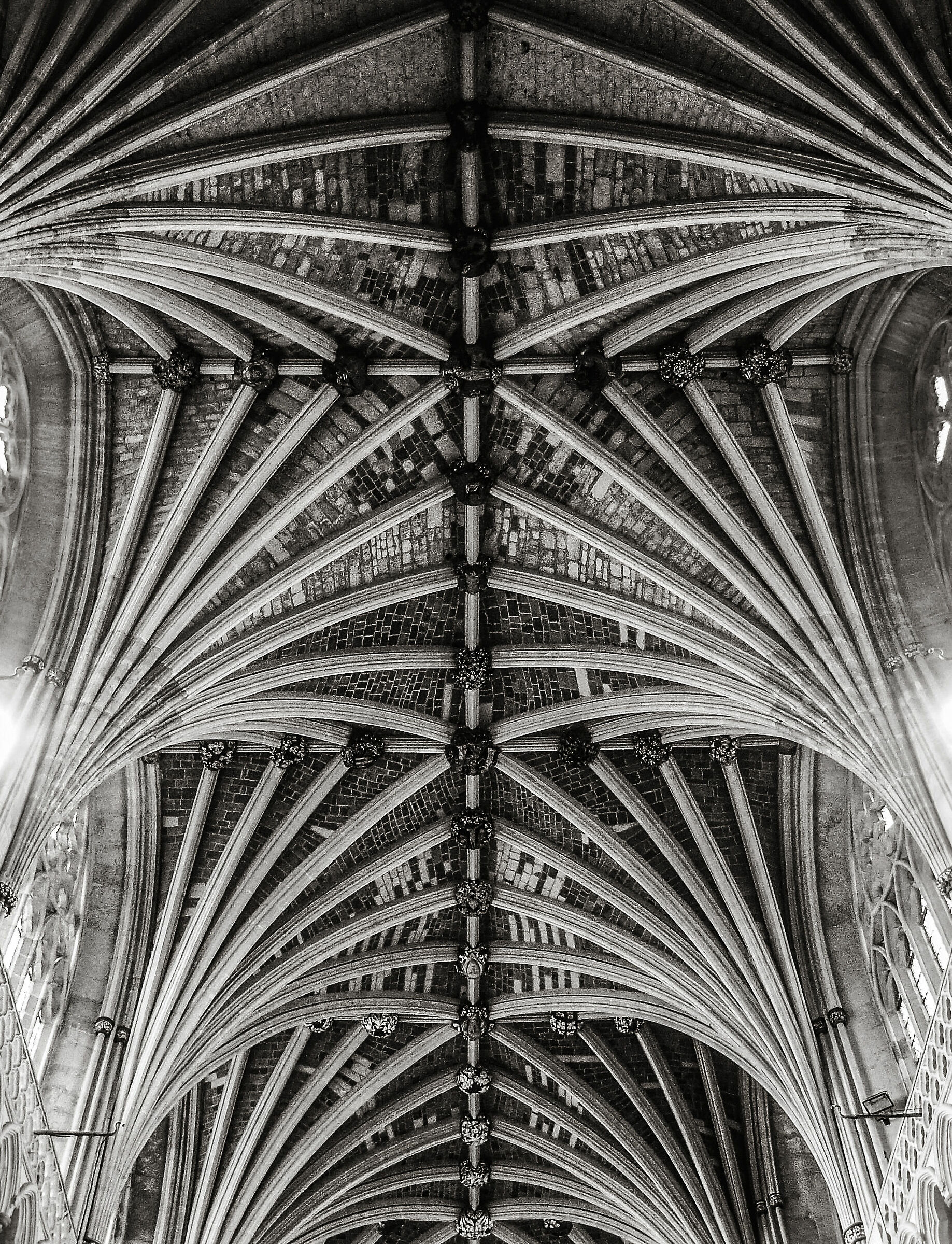 Like Jonah in the Whale