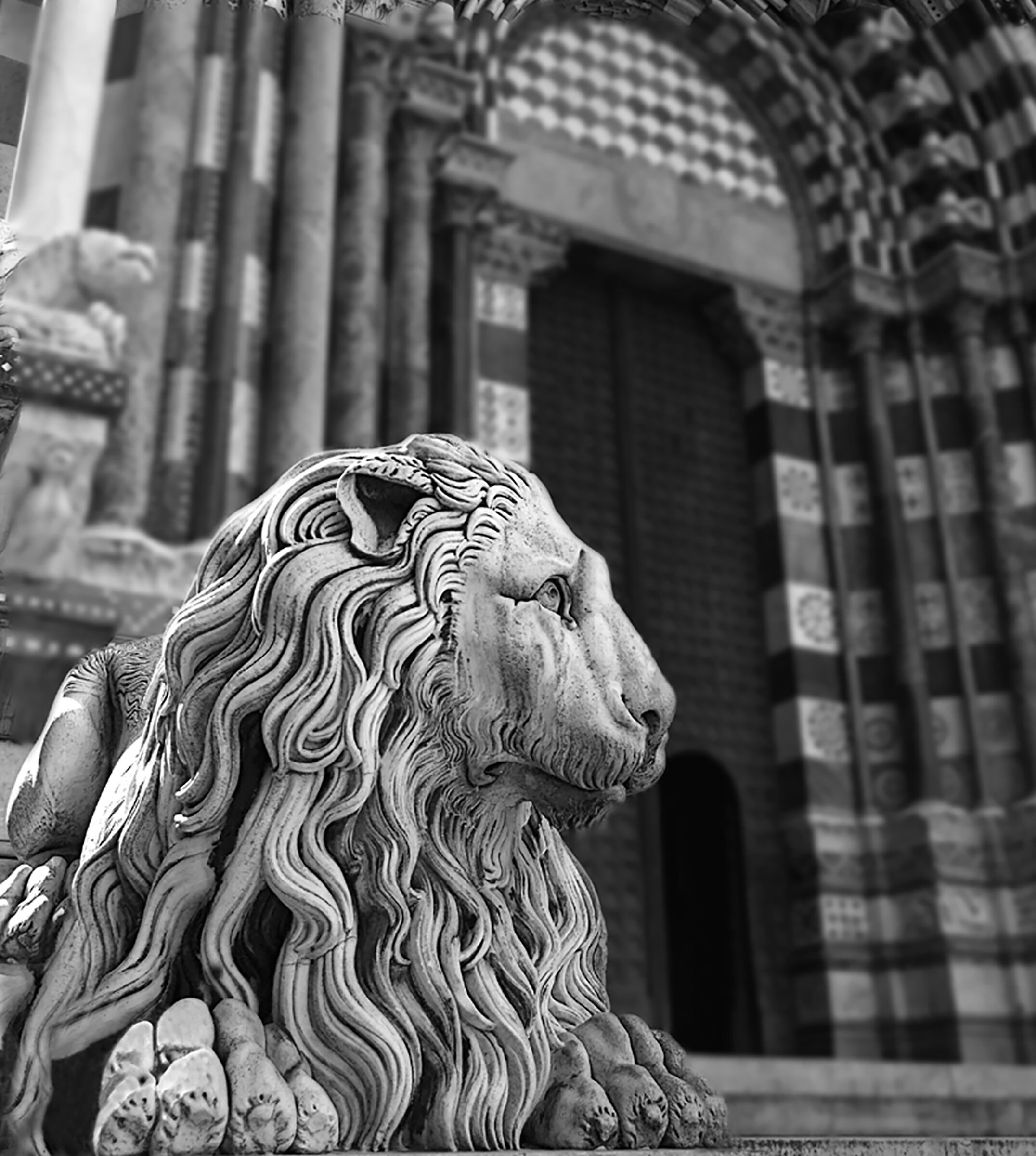 Genova -Cattedrale San Lorenzo - particolare