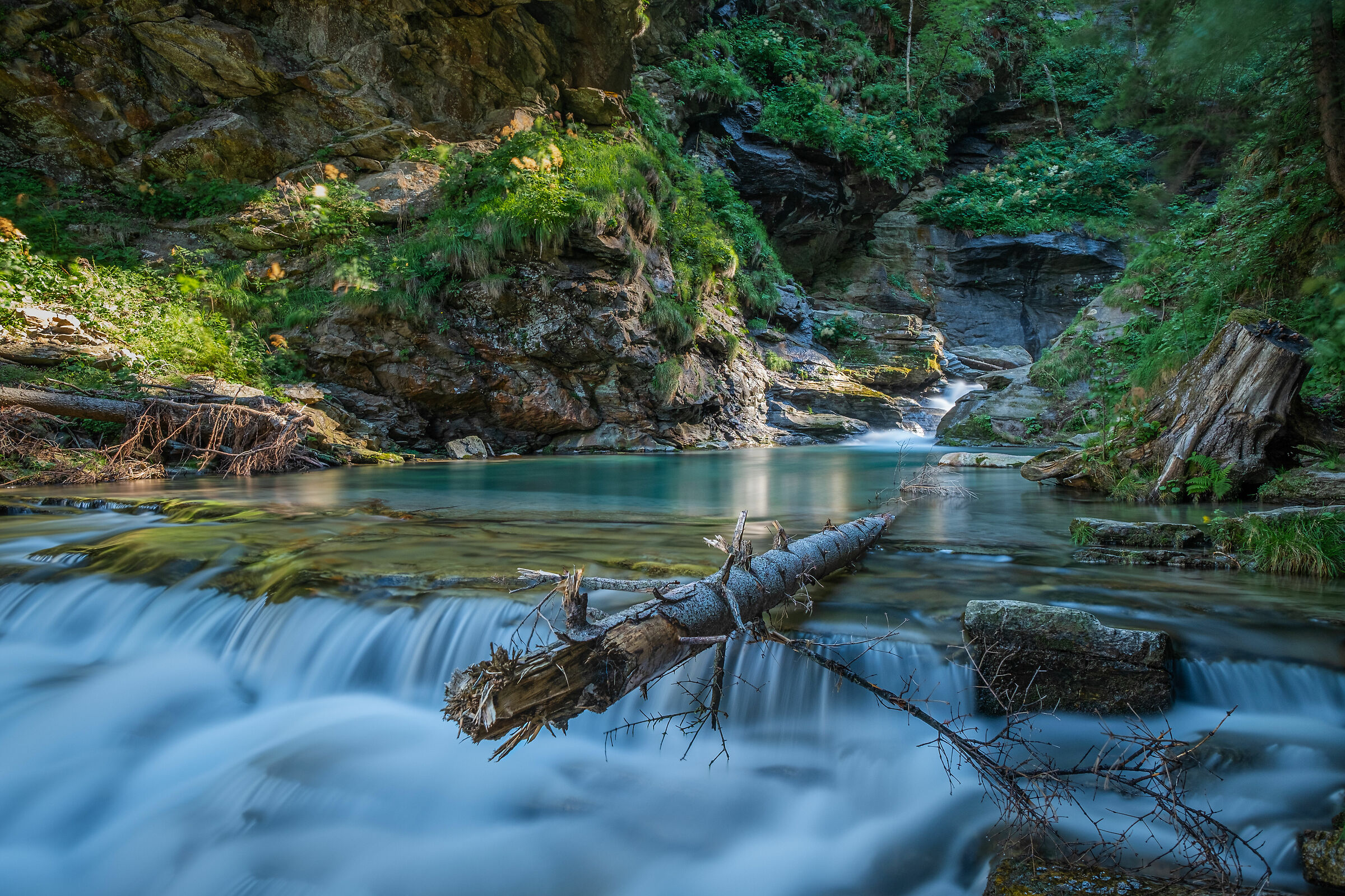 Natura selvaggia, Ticino-Svizzera