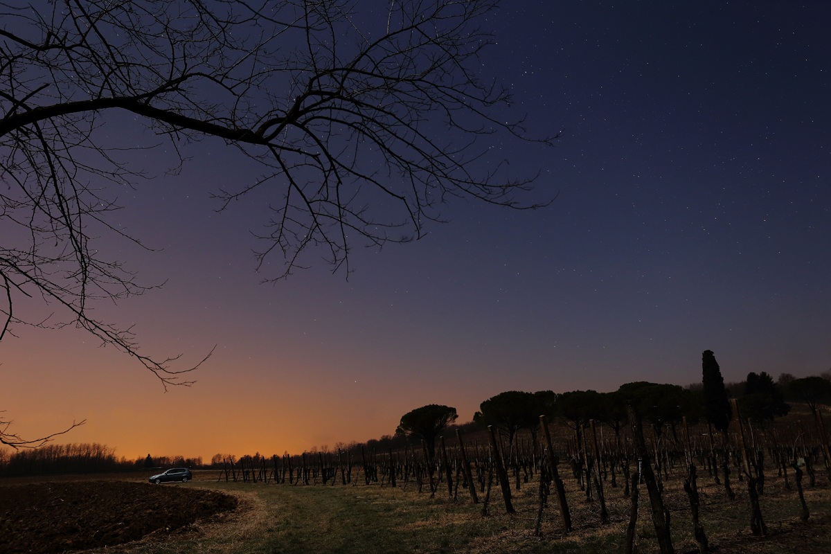 Vigneti sotto le stelle