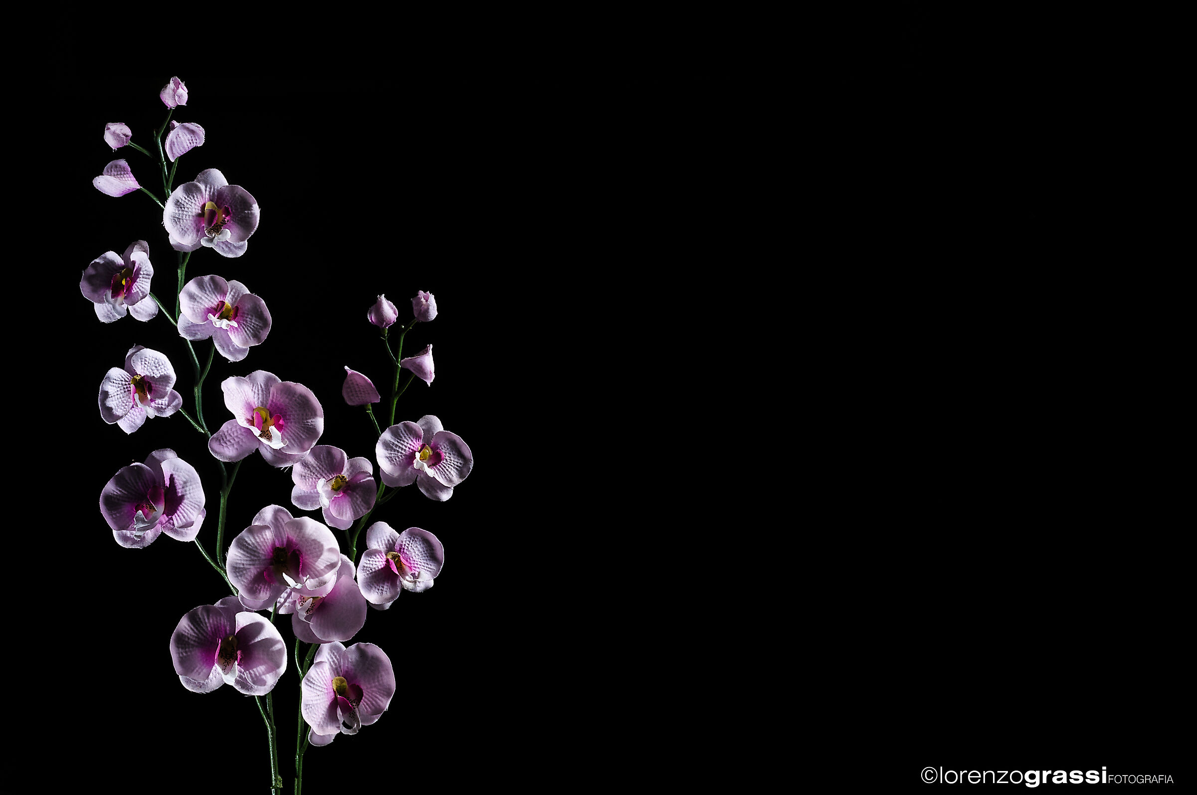 Untitled Photo