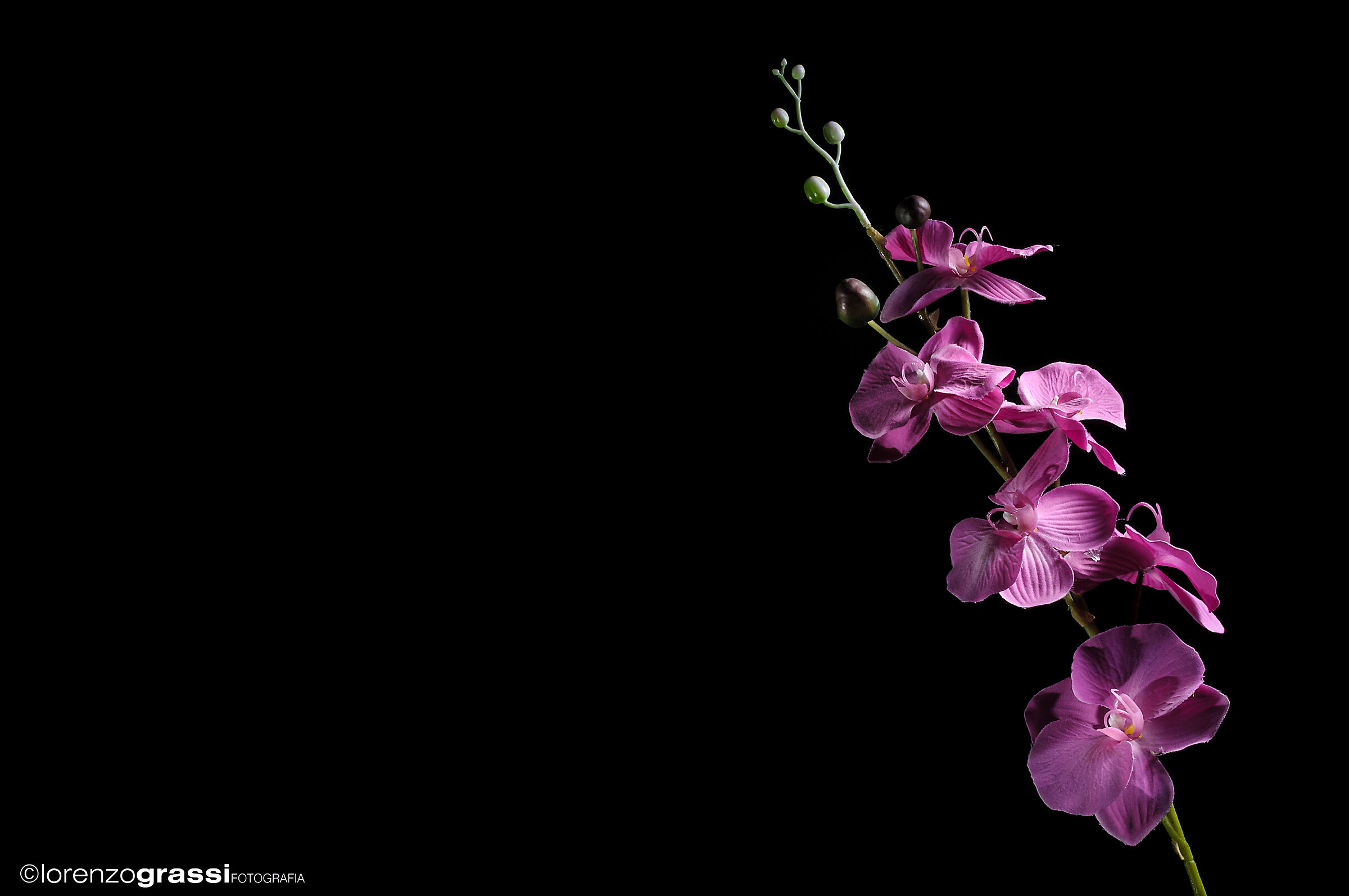 Untitled Photo