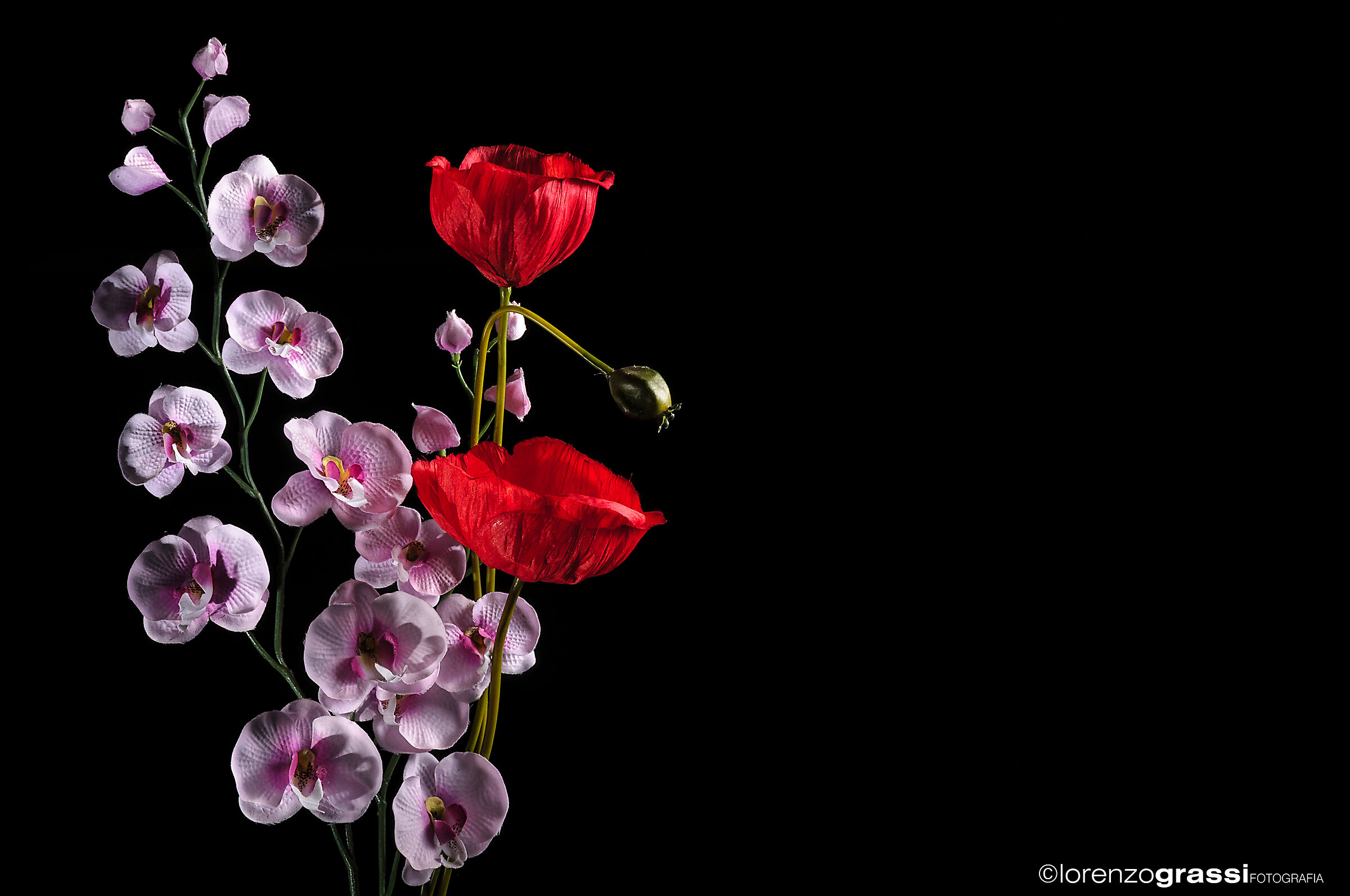 Zen mood flowers