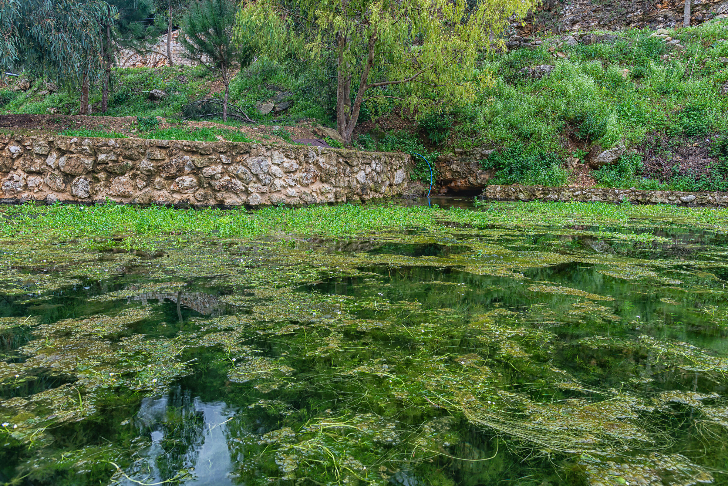 A Day At AlHujair Reserve