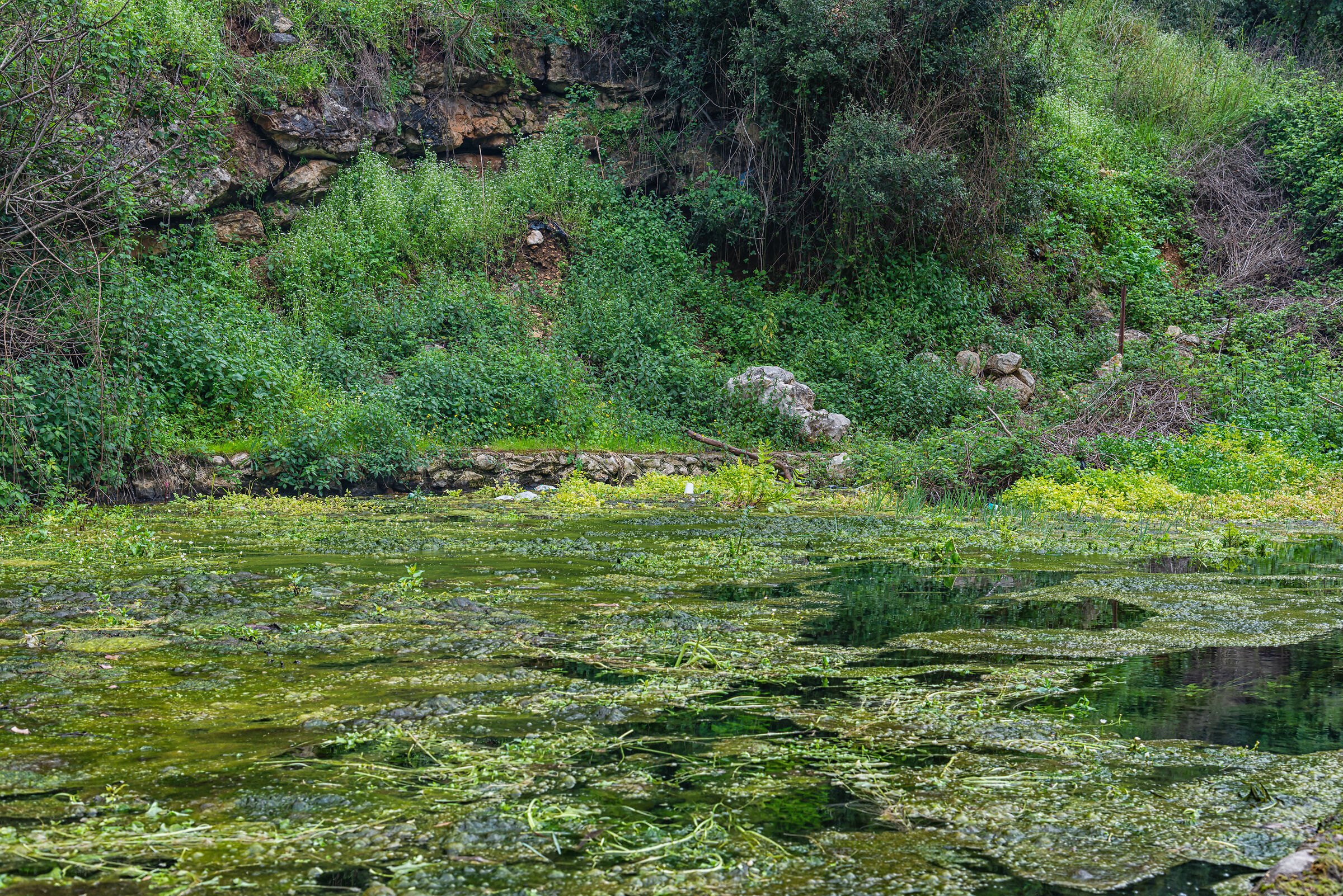 A Day At AlHujair Reserve