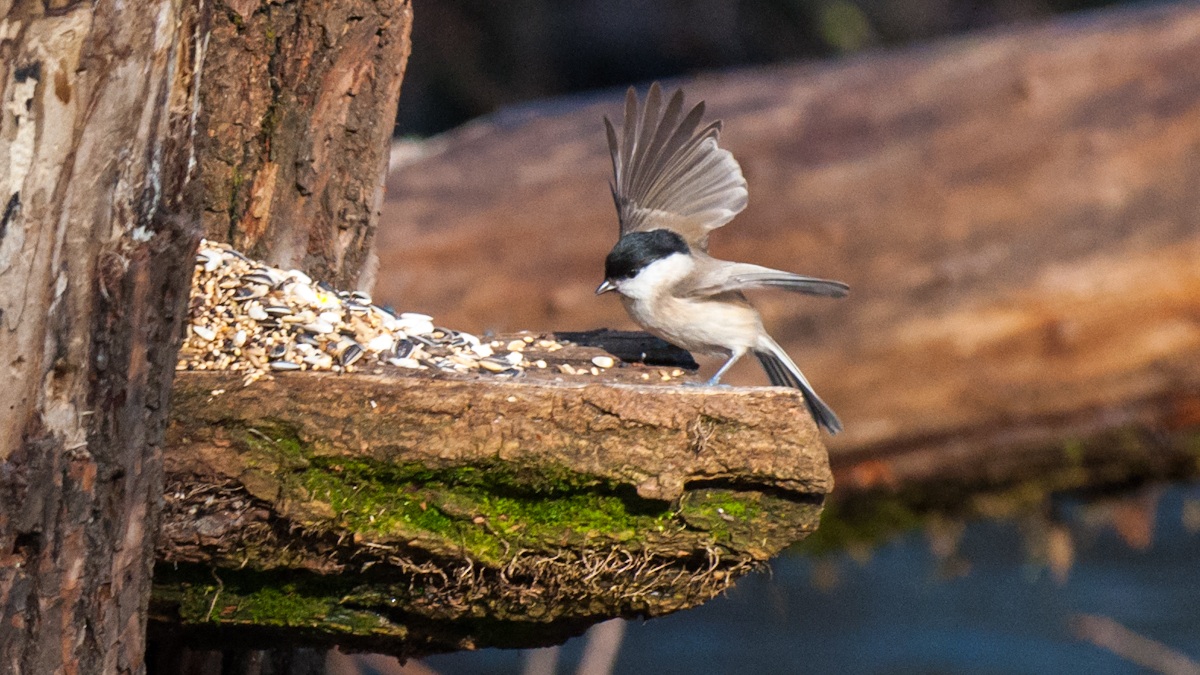 atterraggio riuscito