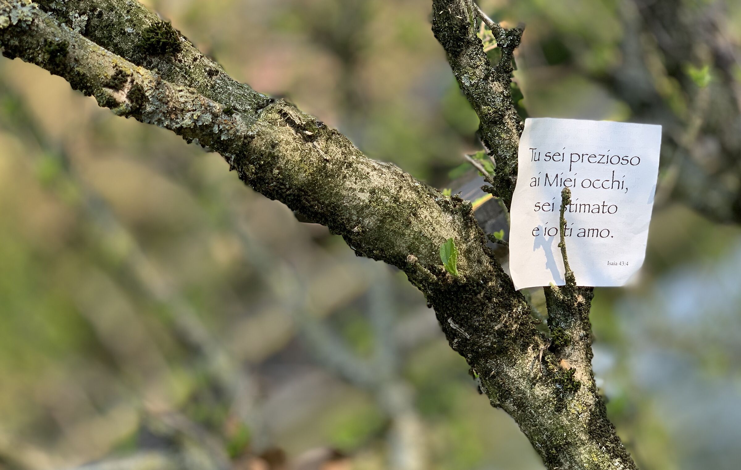 Riflessioni lunga la strada