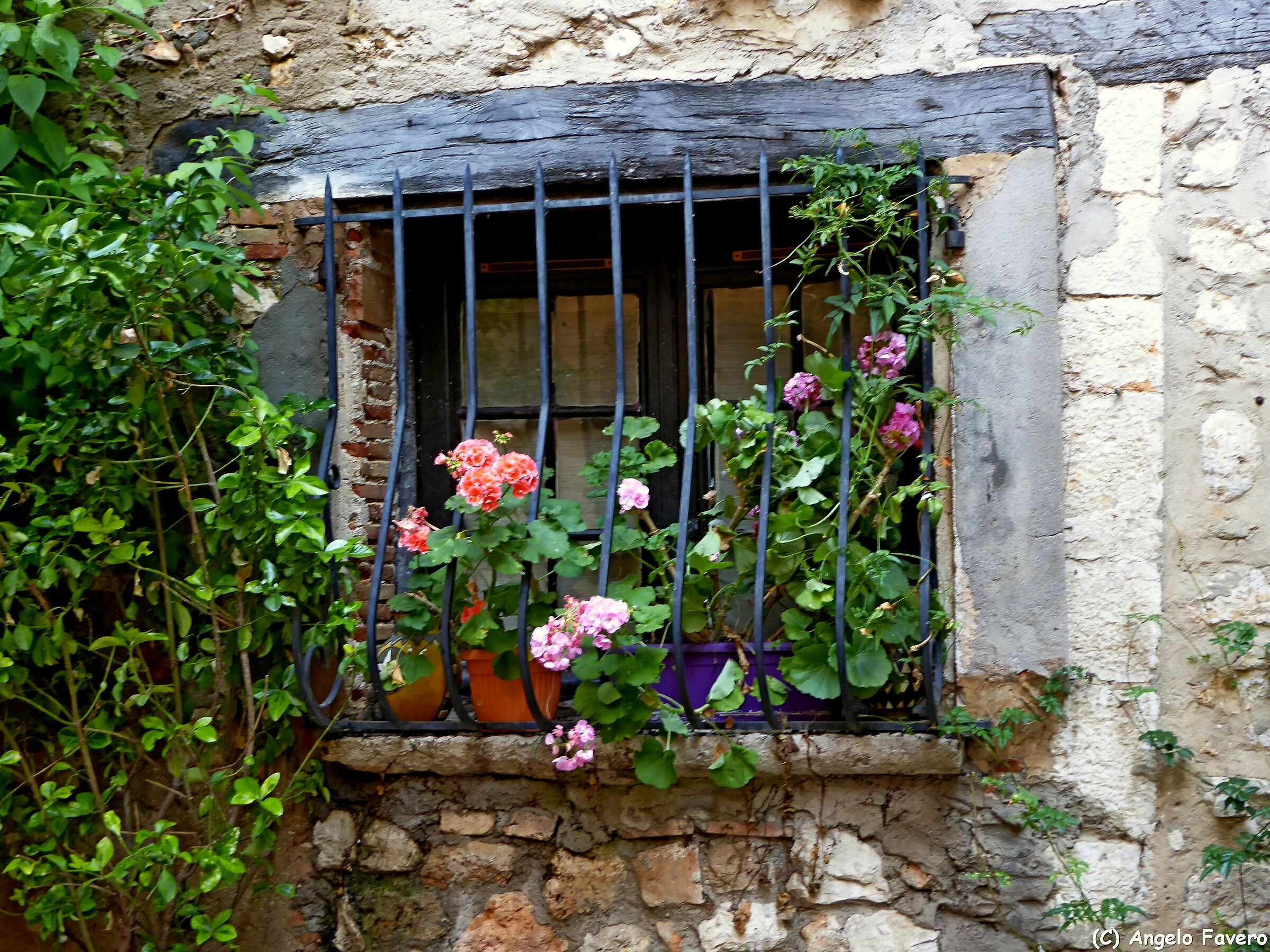 nothing imprisons nature