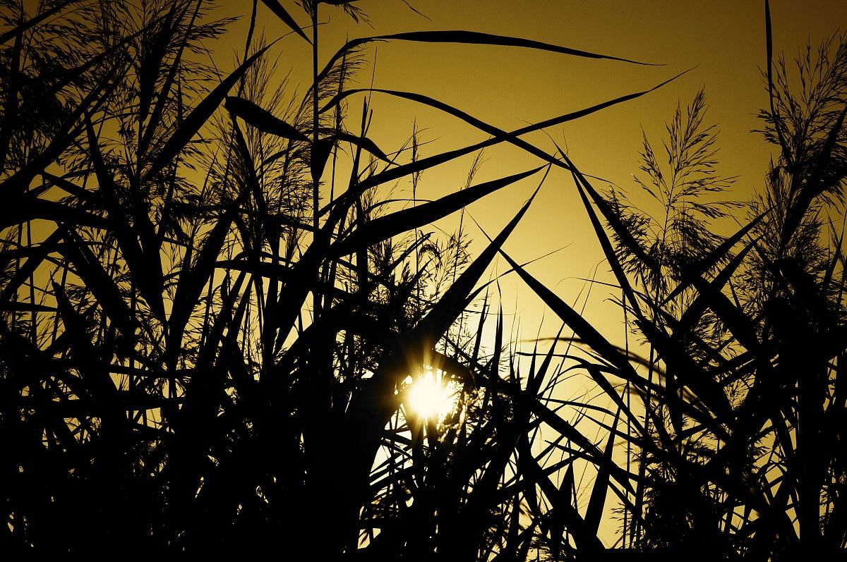 tramonto sulla laguna