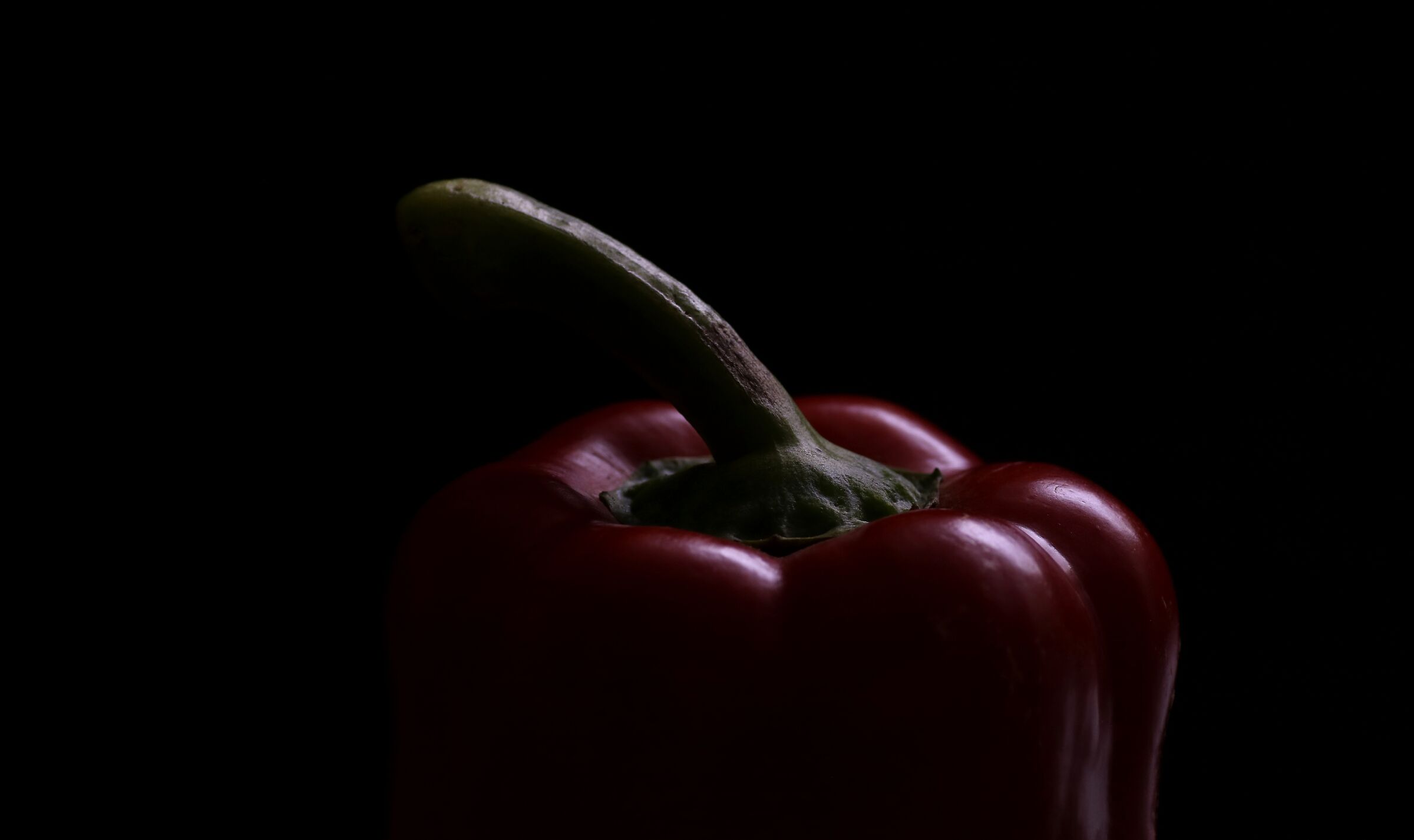 I stay home and take pictures