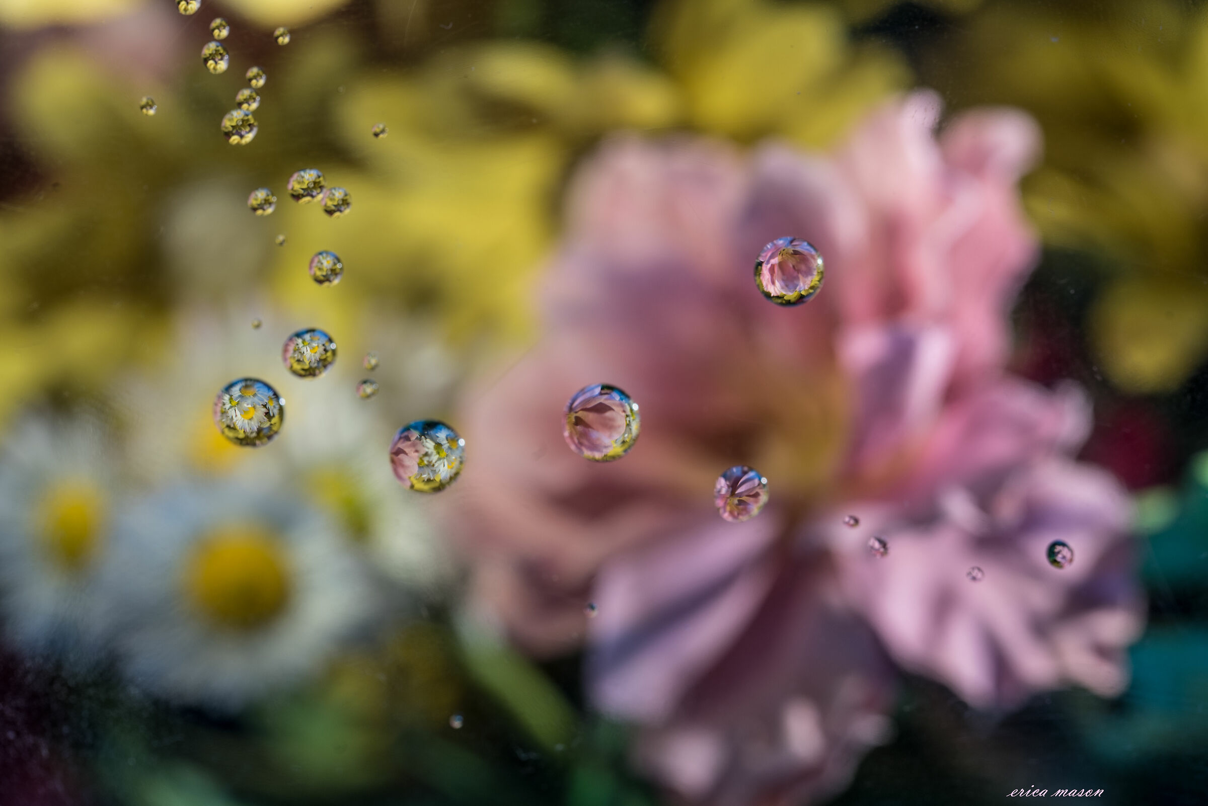 Bubbles