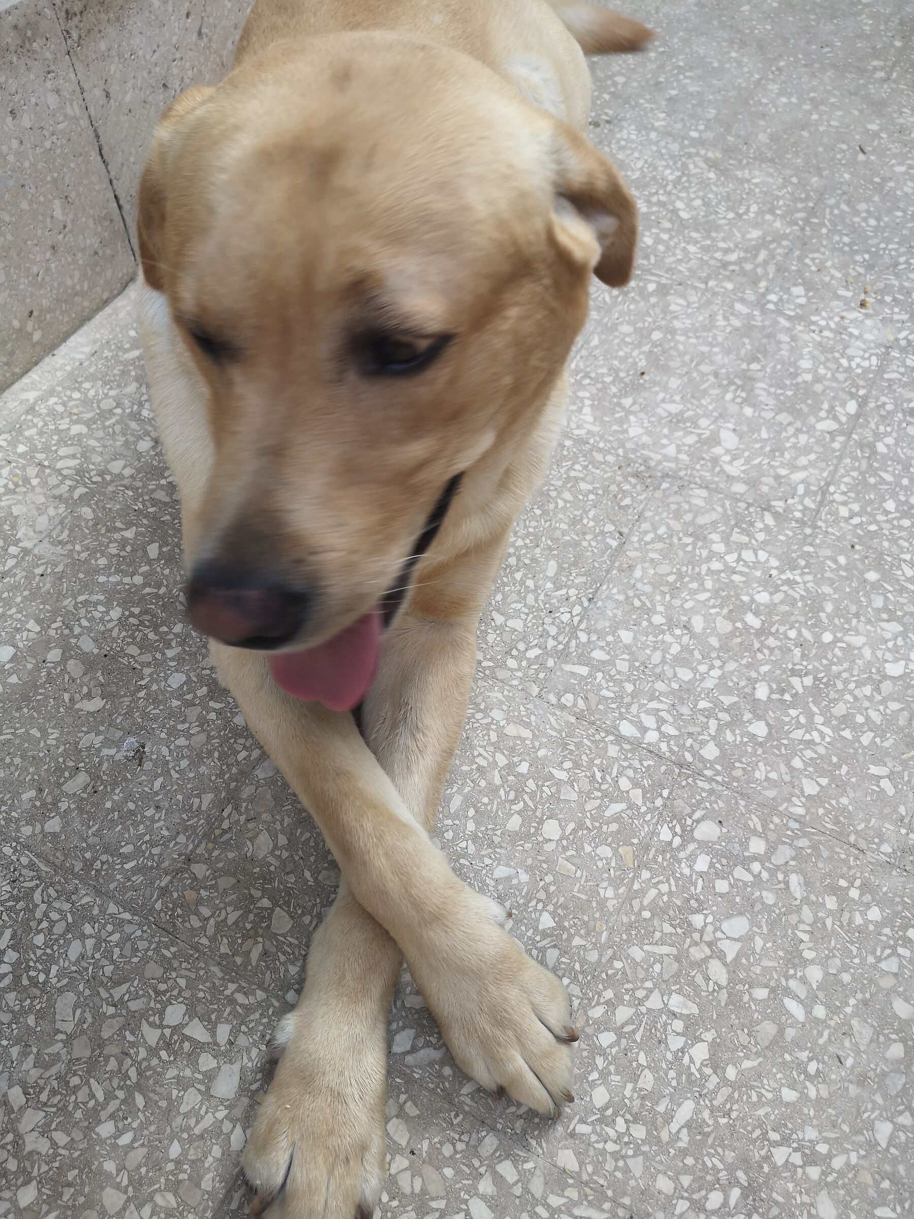 la classe non e' acqua