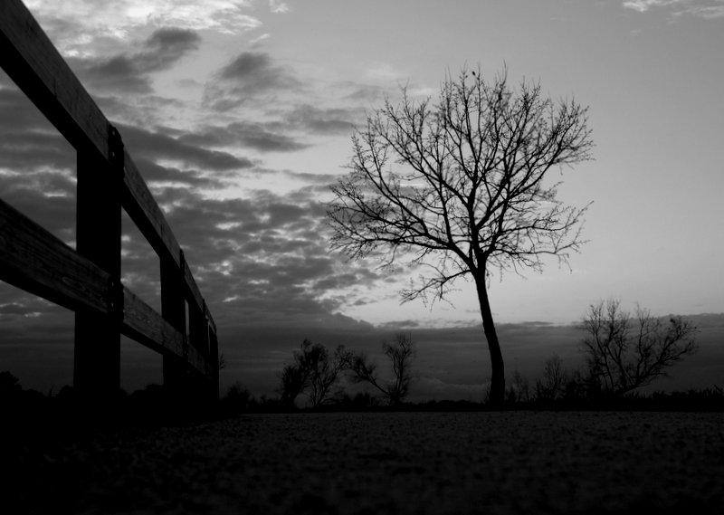 ... strada facendo ...