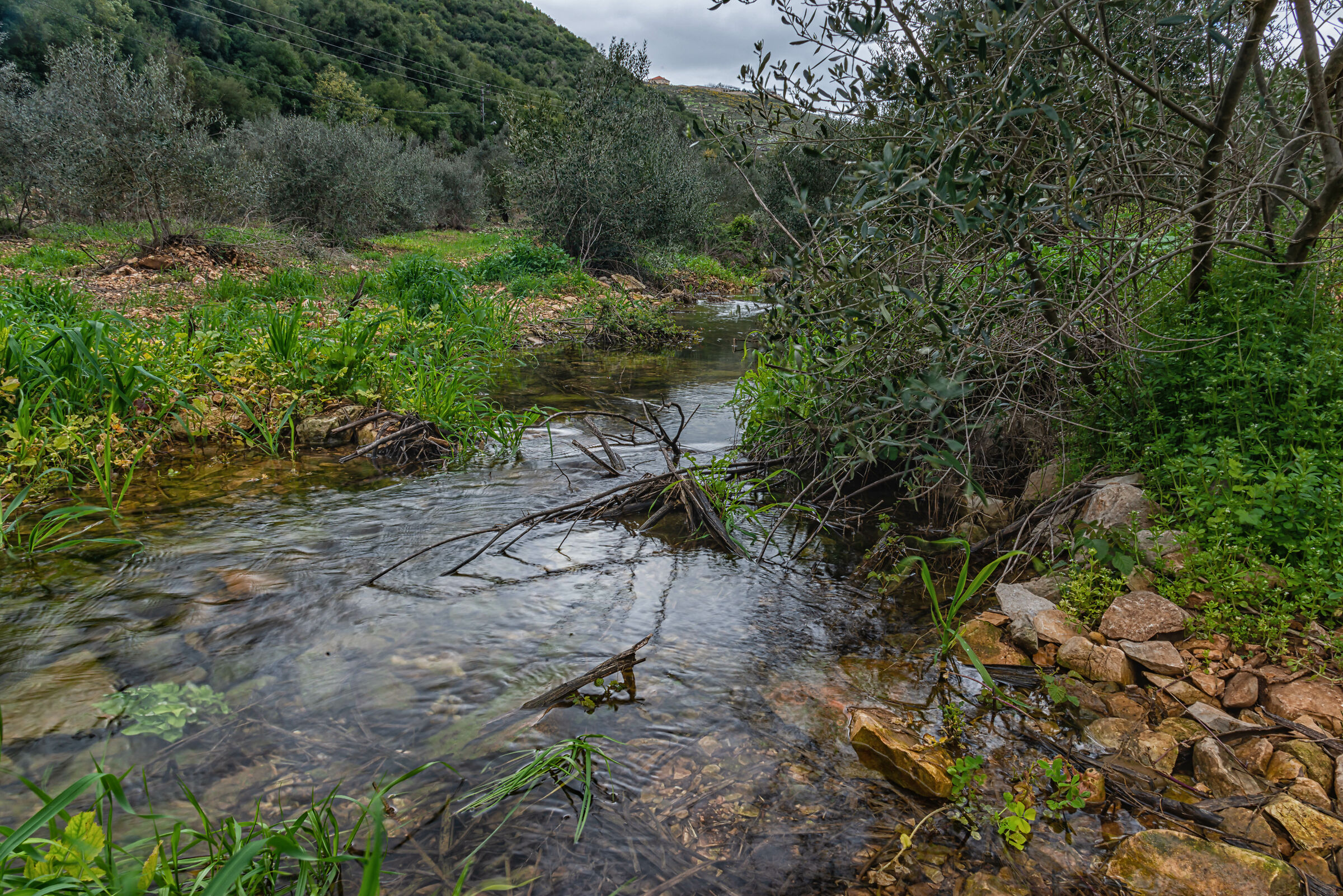 A Day At AlHujair Reserve
