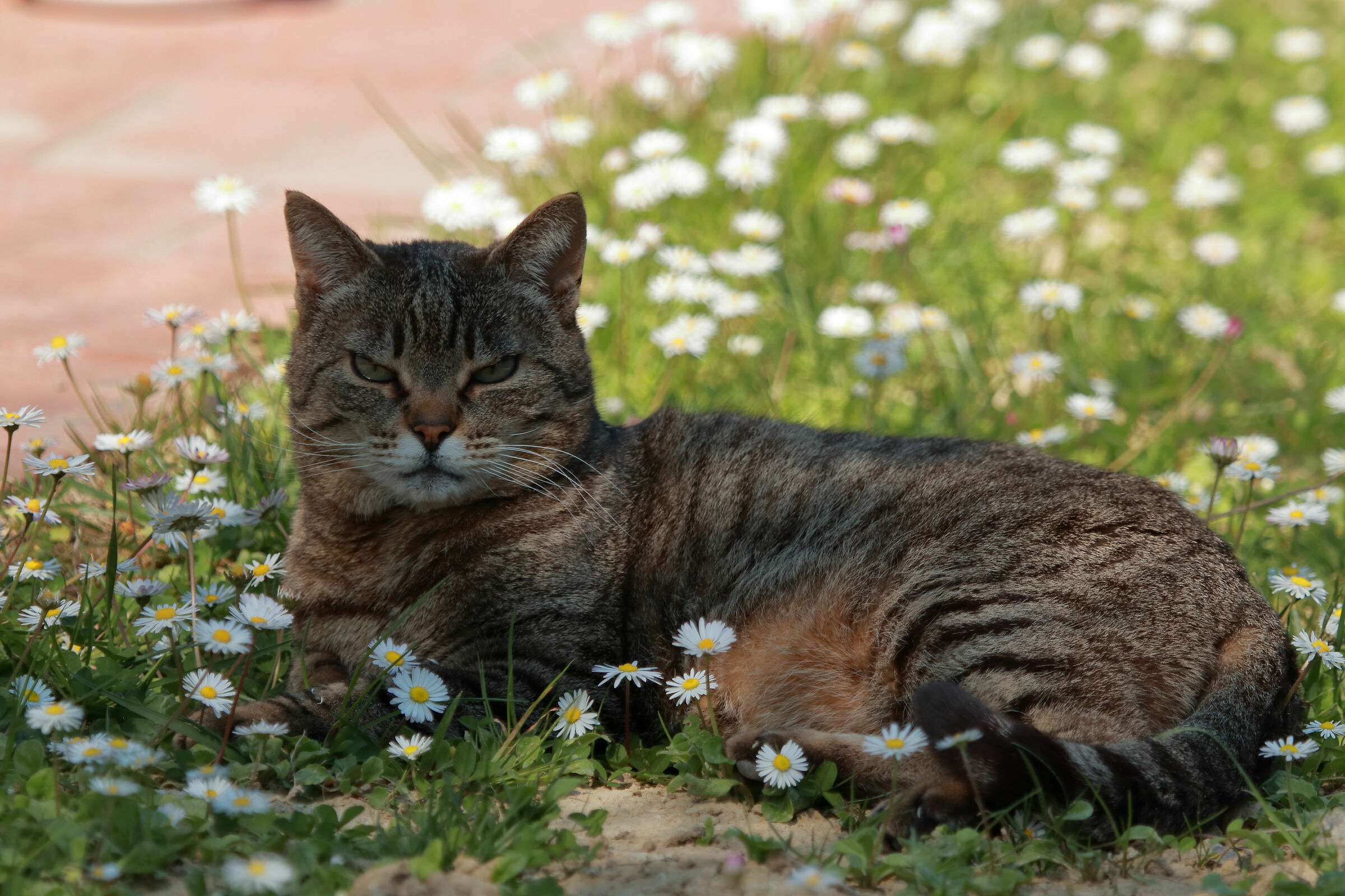 What are you looking at?