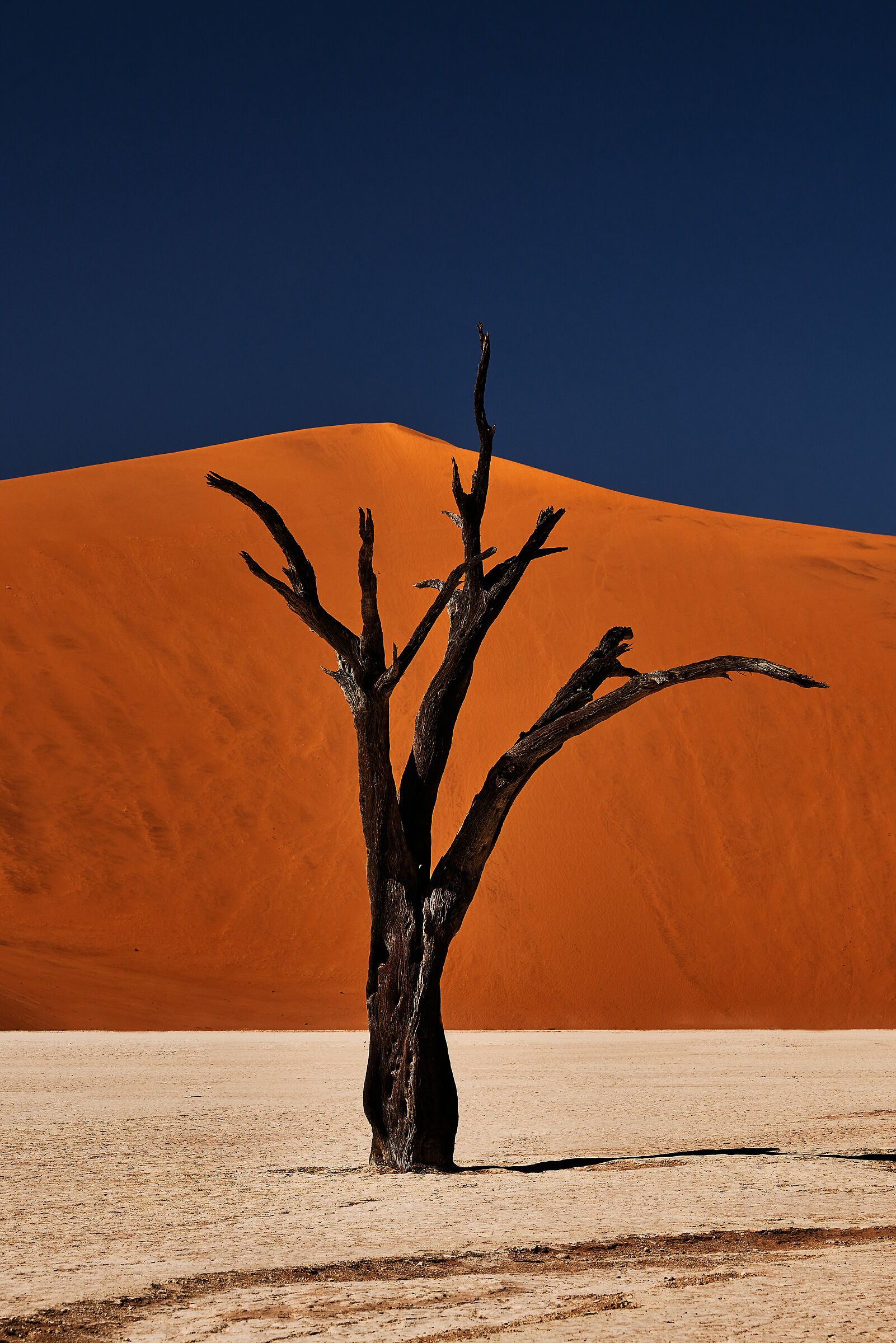 Deadvlei People