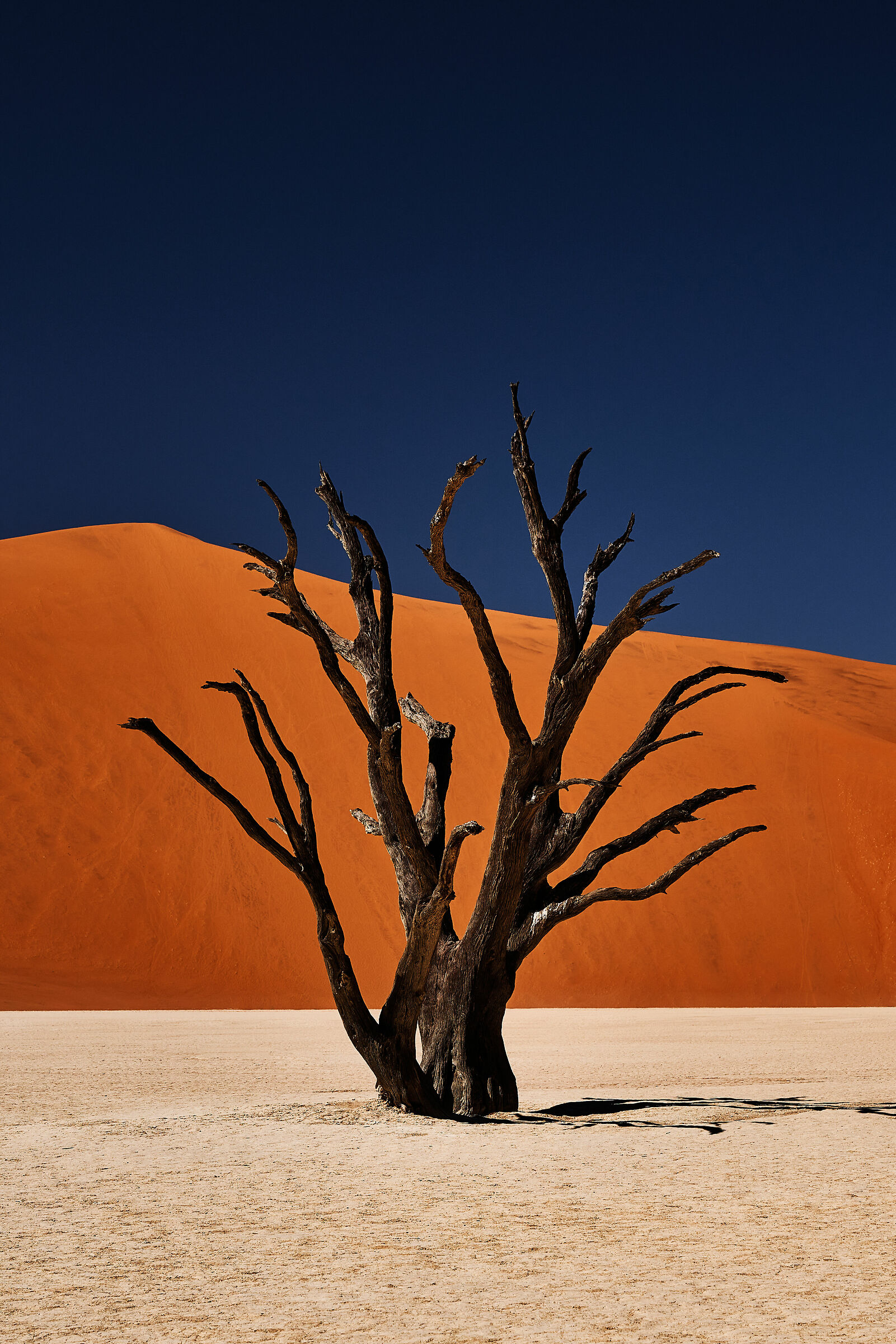 Deadvlei People