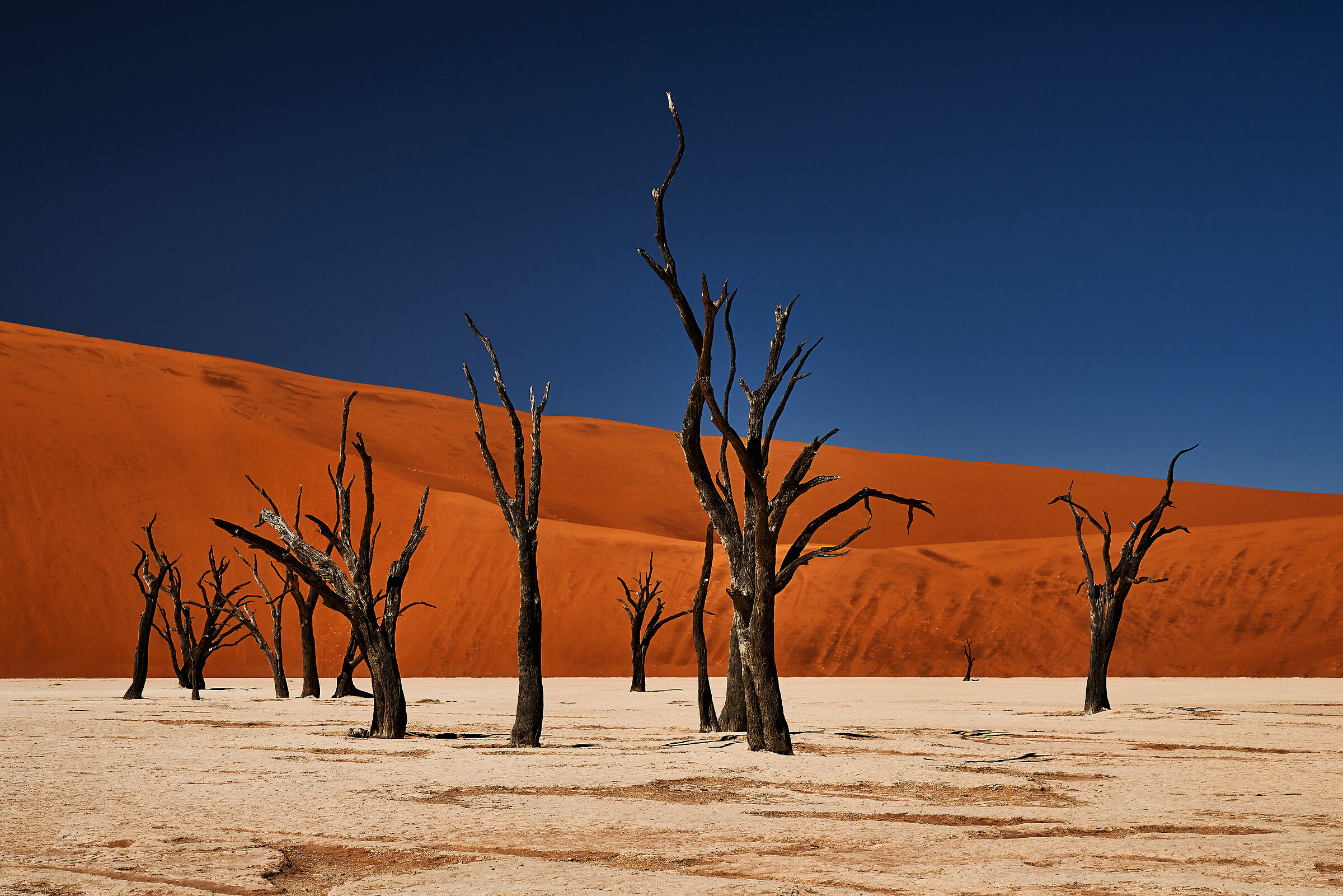 Deadvlei People