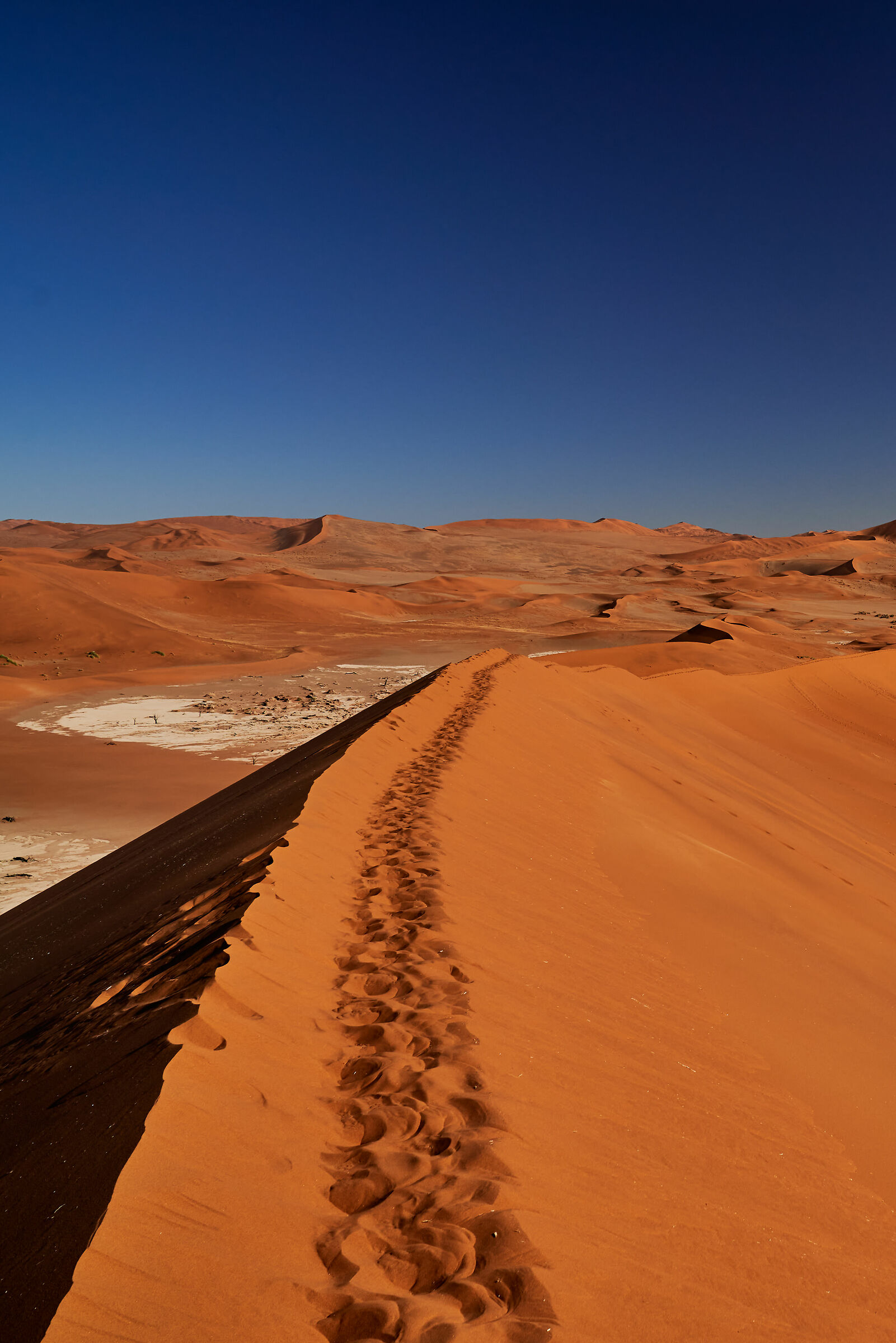 Deadvlei People