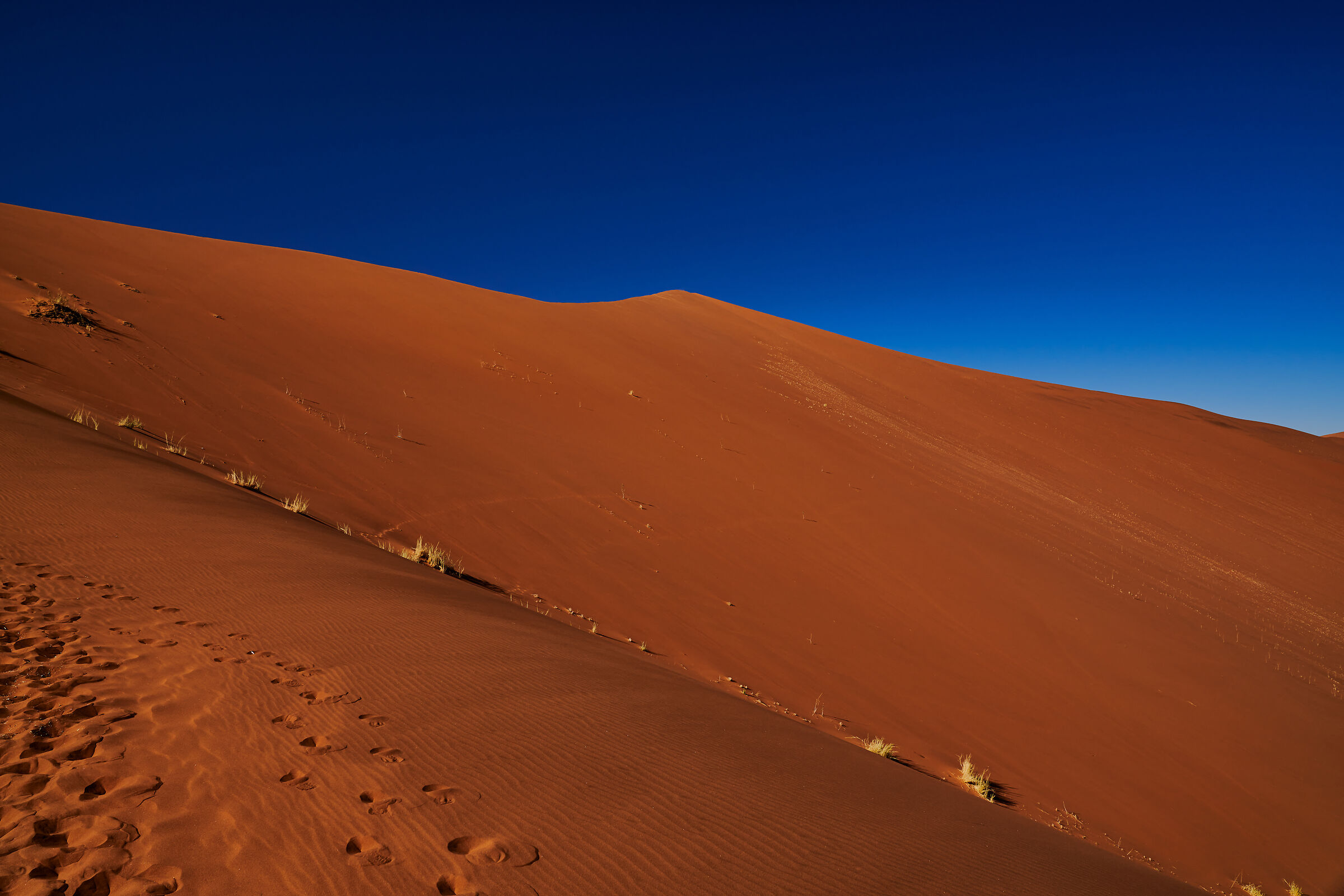 Deadvlei People
