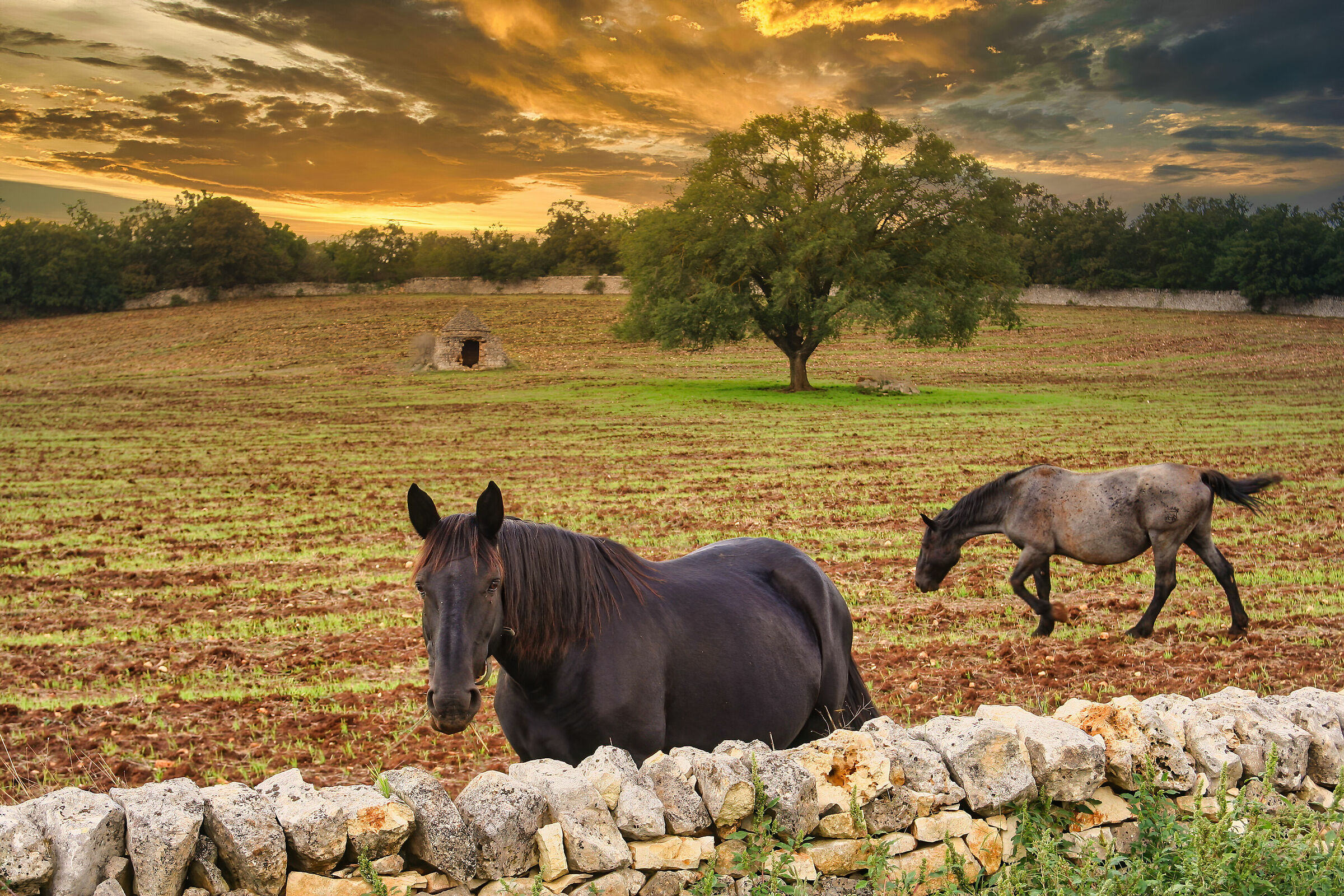 wild valley of itria