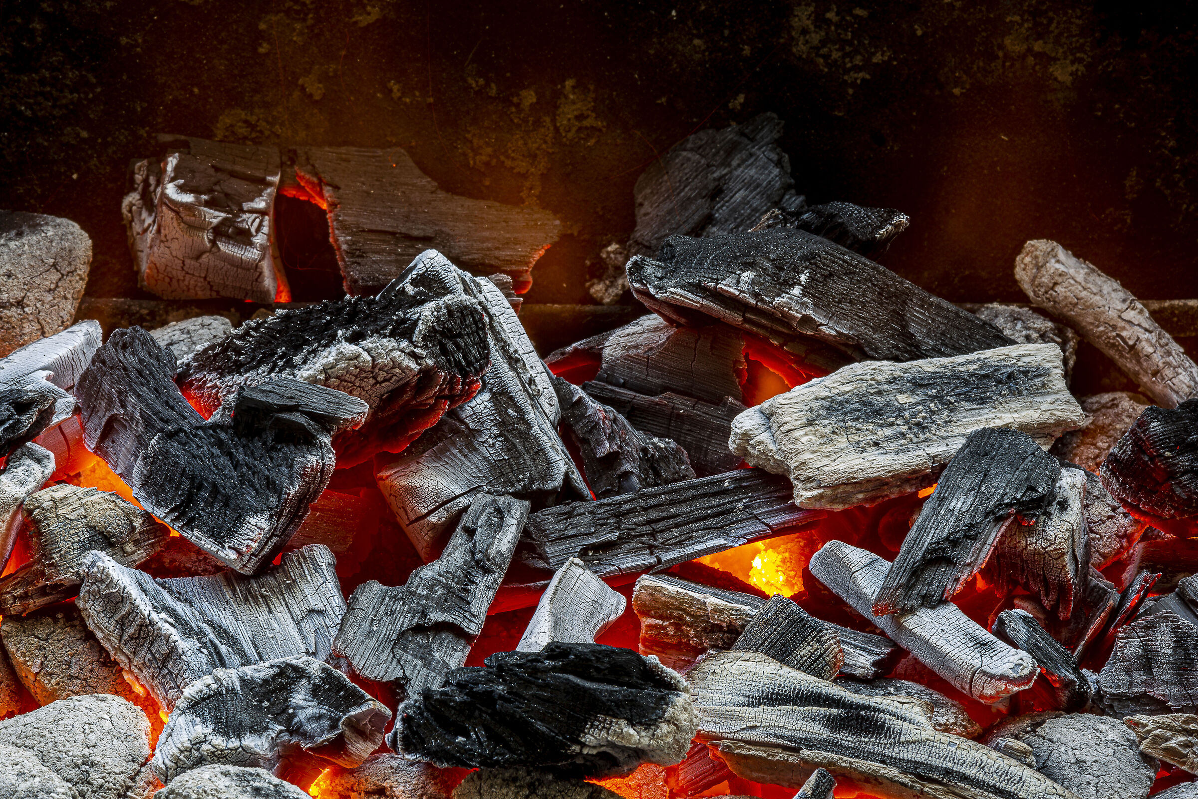 Braci pronte ... Buona Pasqua a tutti