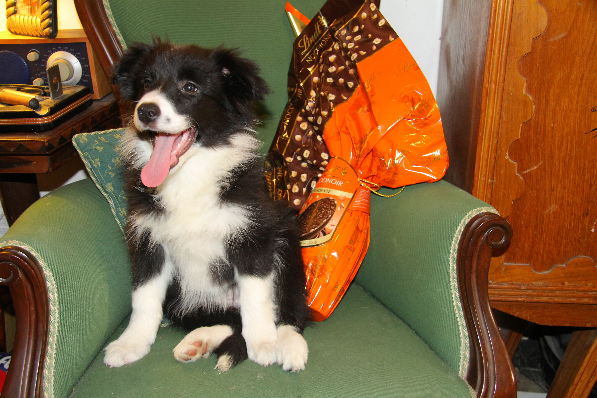 Happy Easter 2020 to all