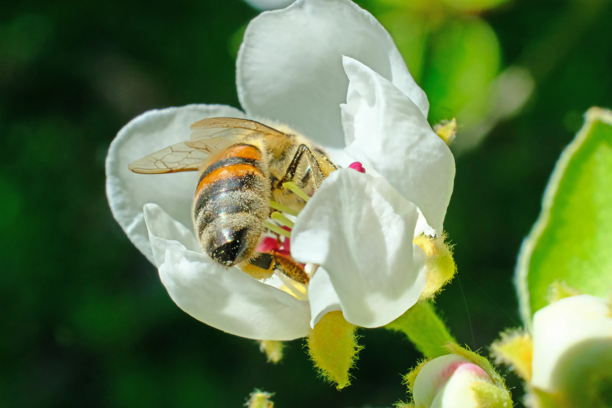Alla ricerca del nettere
