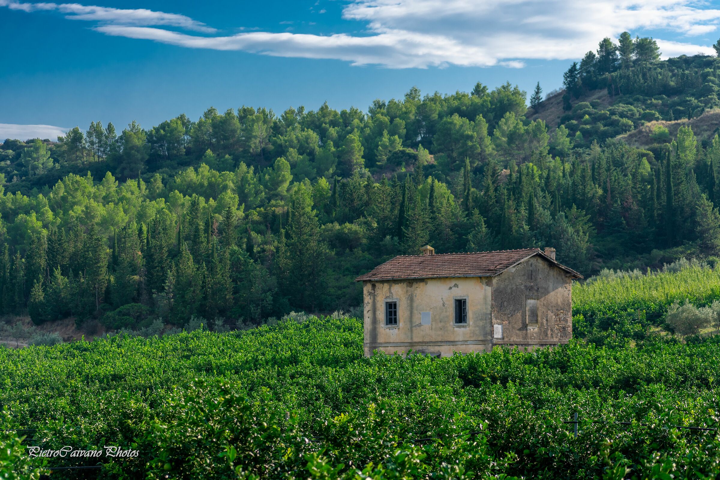 A picture of the campaigns