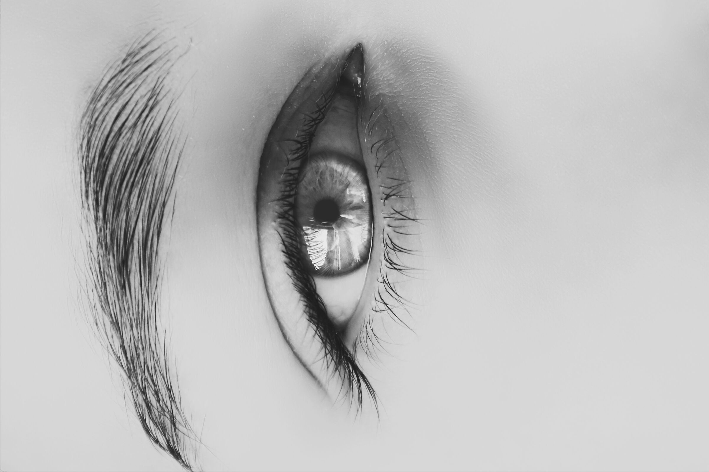 ogni occhio ha il suo sguardo