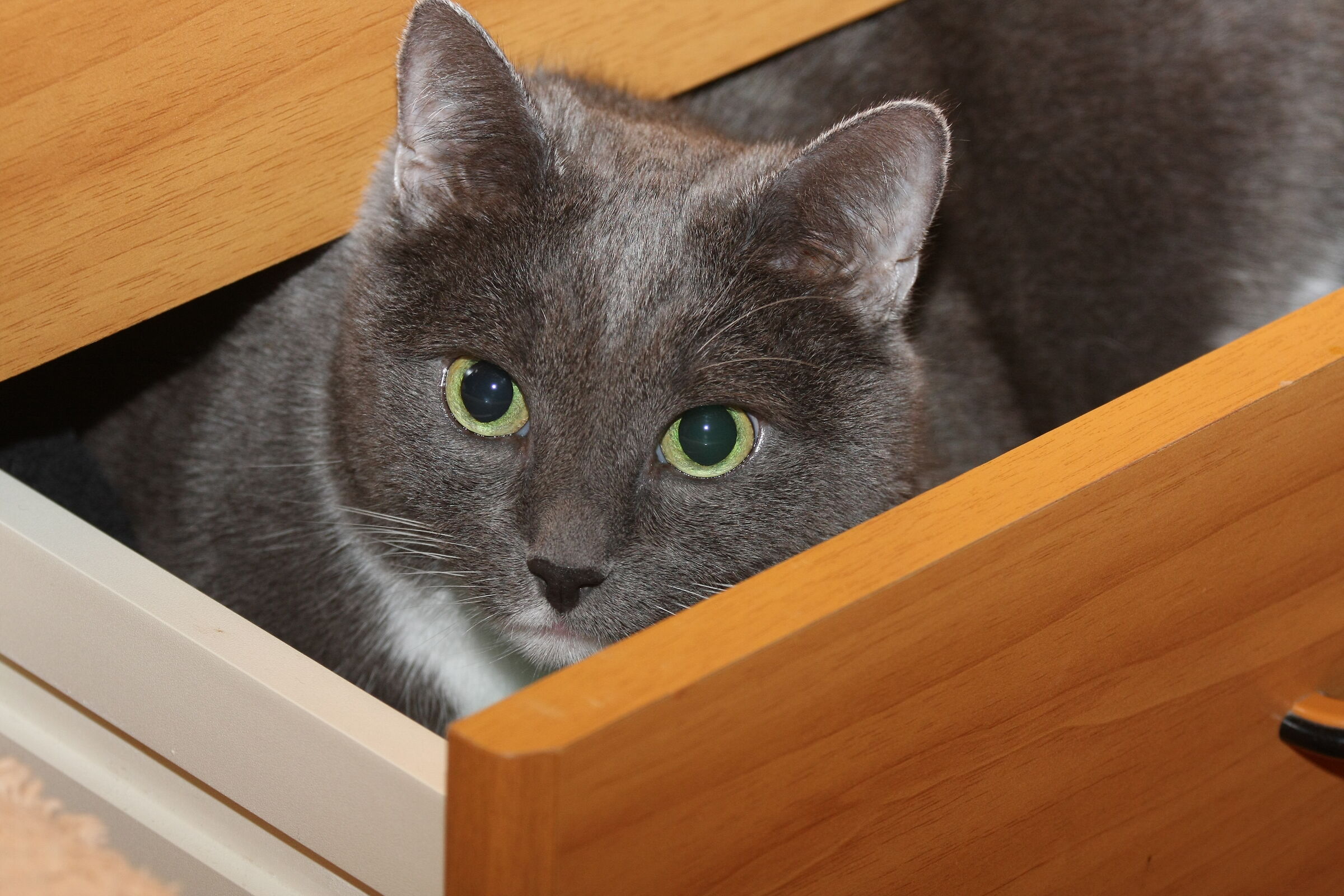 In the drawer
