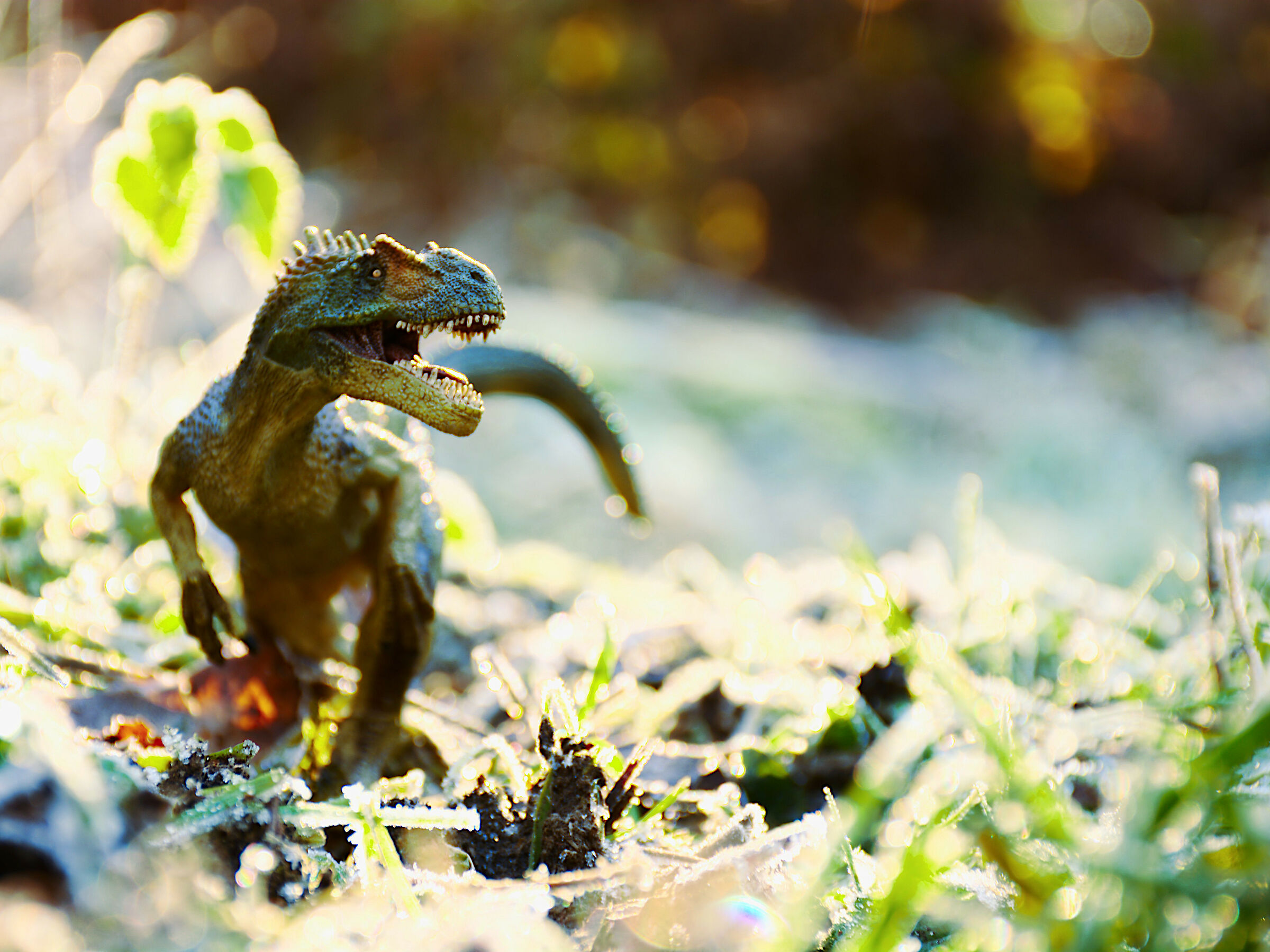 Giurassici inverni (Allosaurus sp.)