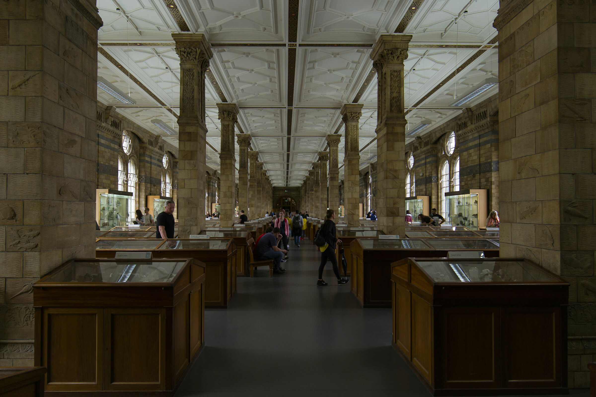 Natural museum