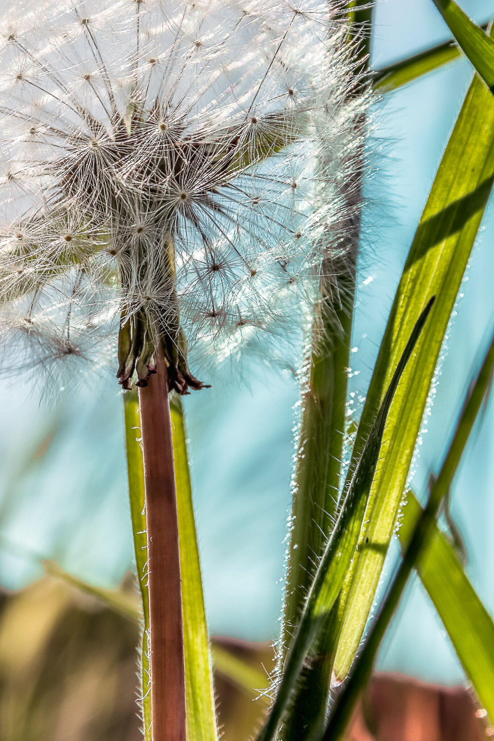 coronavirus time...si fa cio' che si puo' 5 cioe nul...