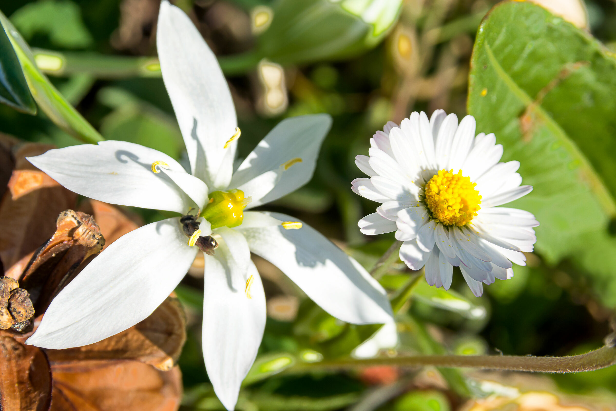 coronavirus time...si fa cio' che si puo' 6 cioe nul...