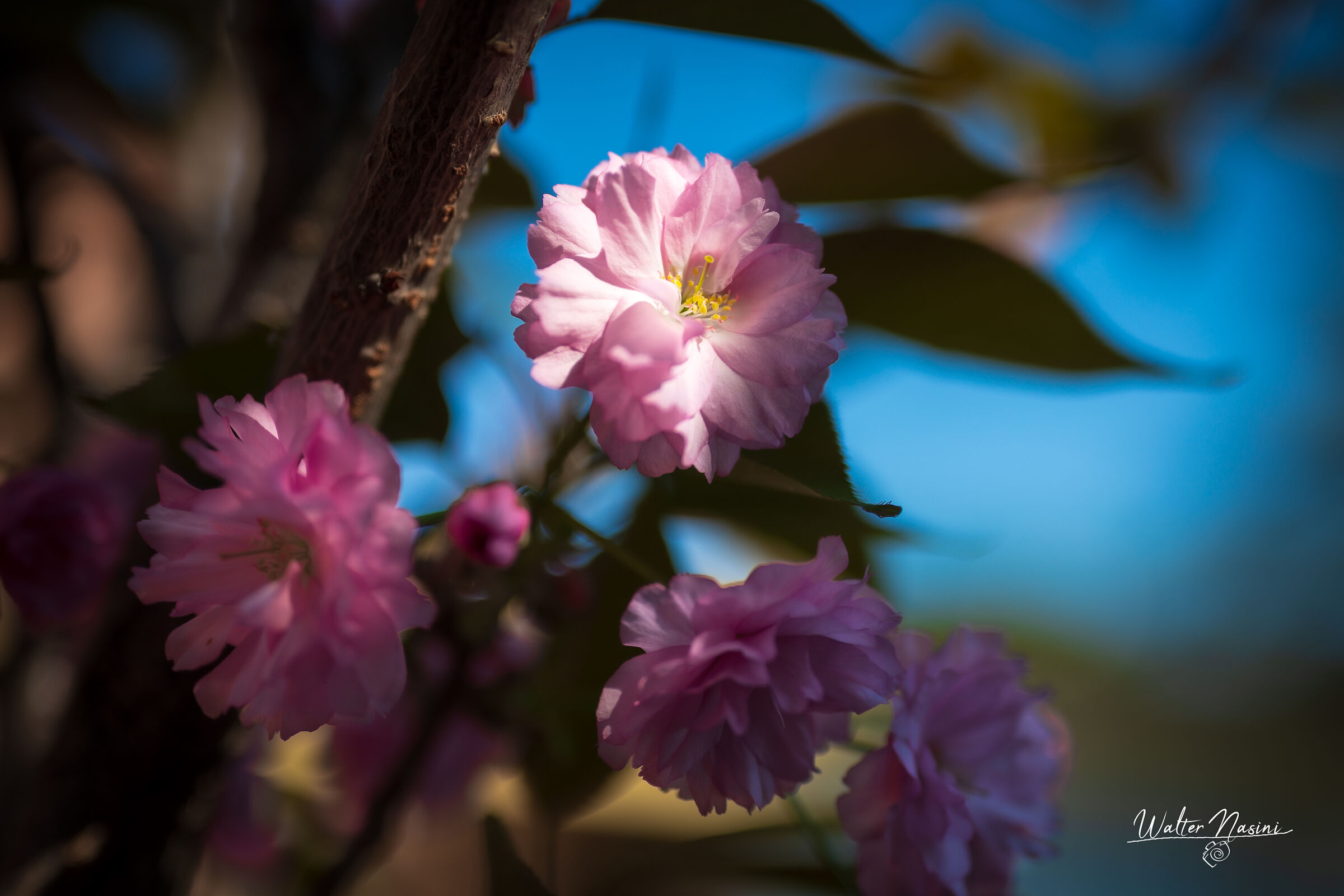 dedicata a chi ci ha lasciato per il coronavirus