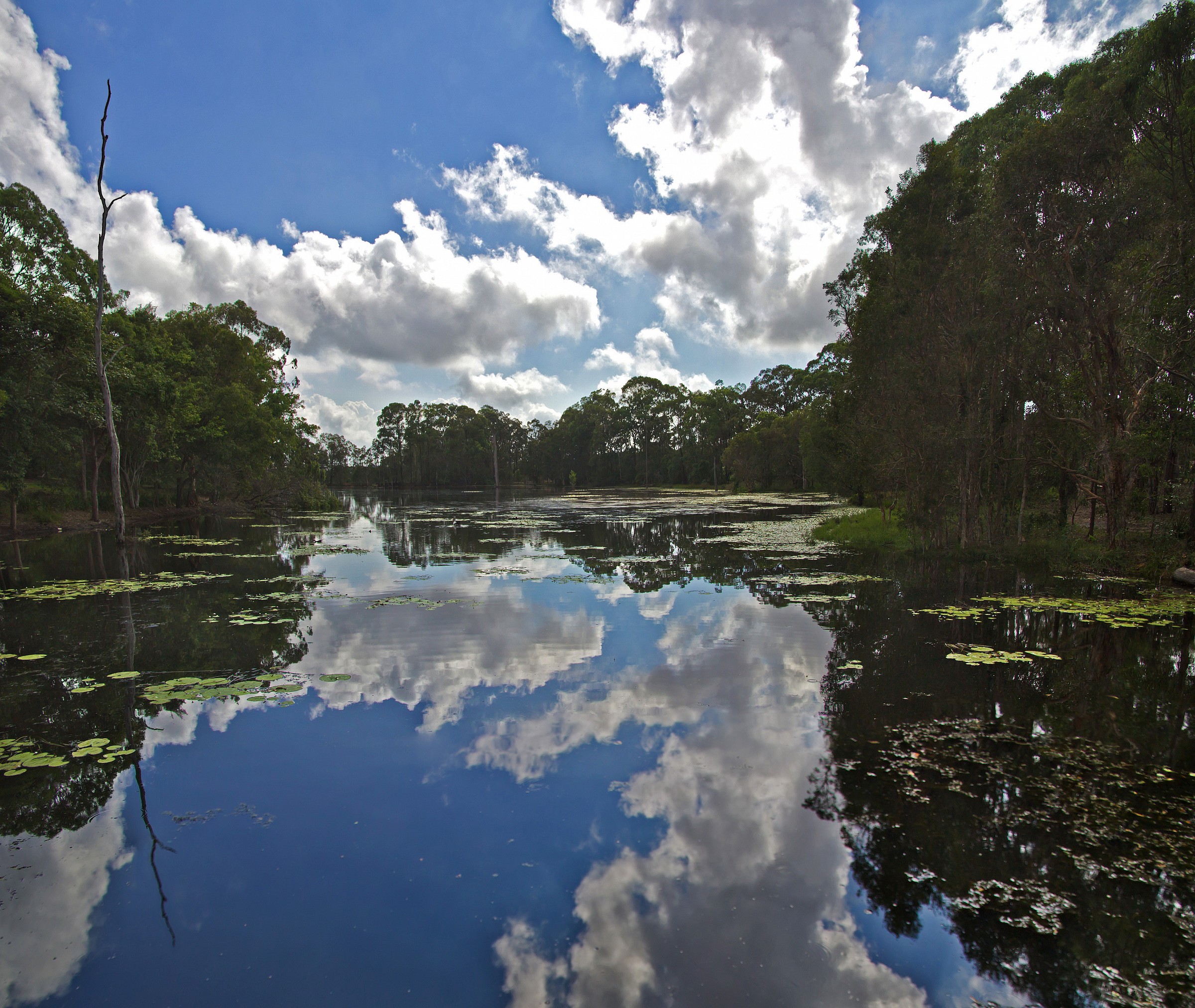Stagno dietro la mia strada