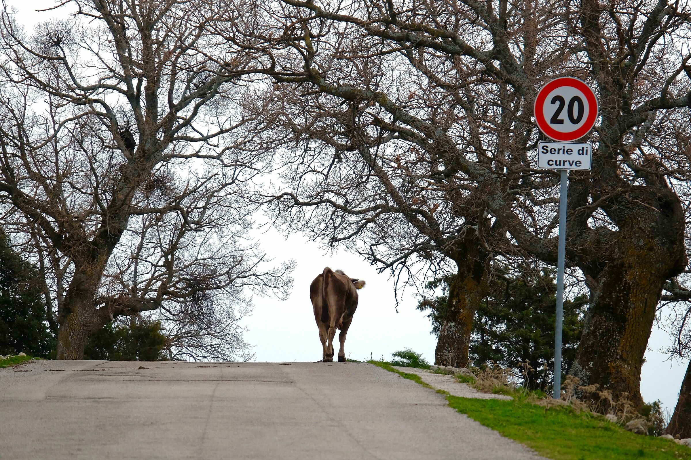 Indenting the limits