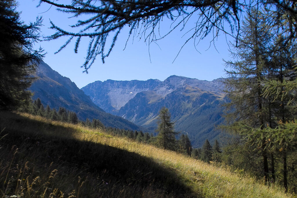 Climbing to Peak Woods