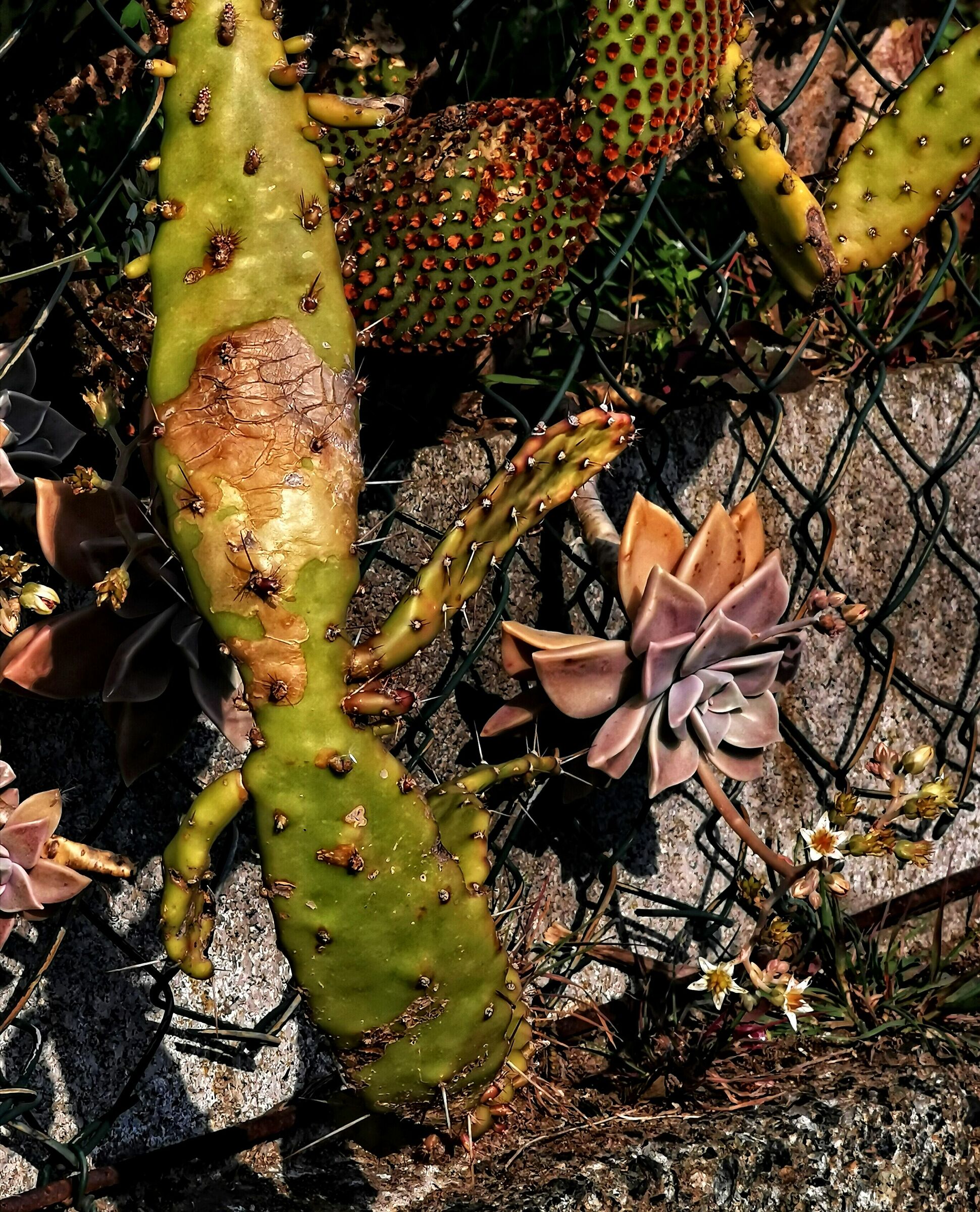 Happy Easter at all from your ...