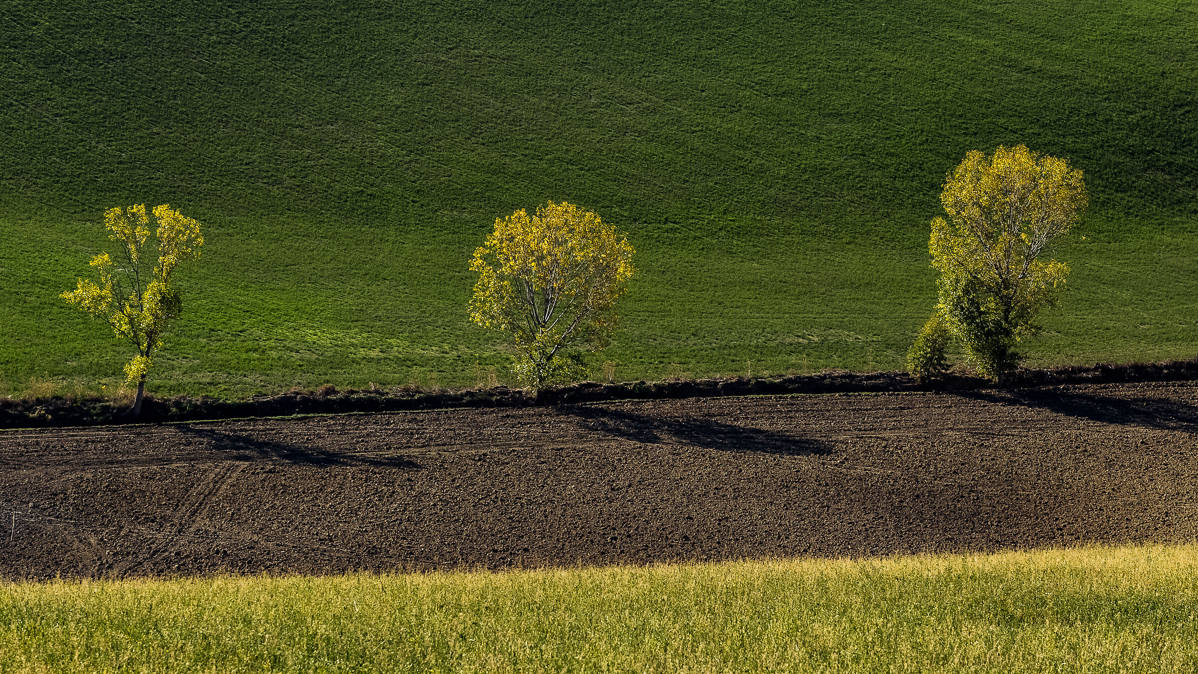 Sera fra le colline