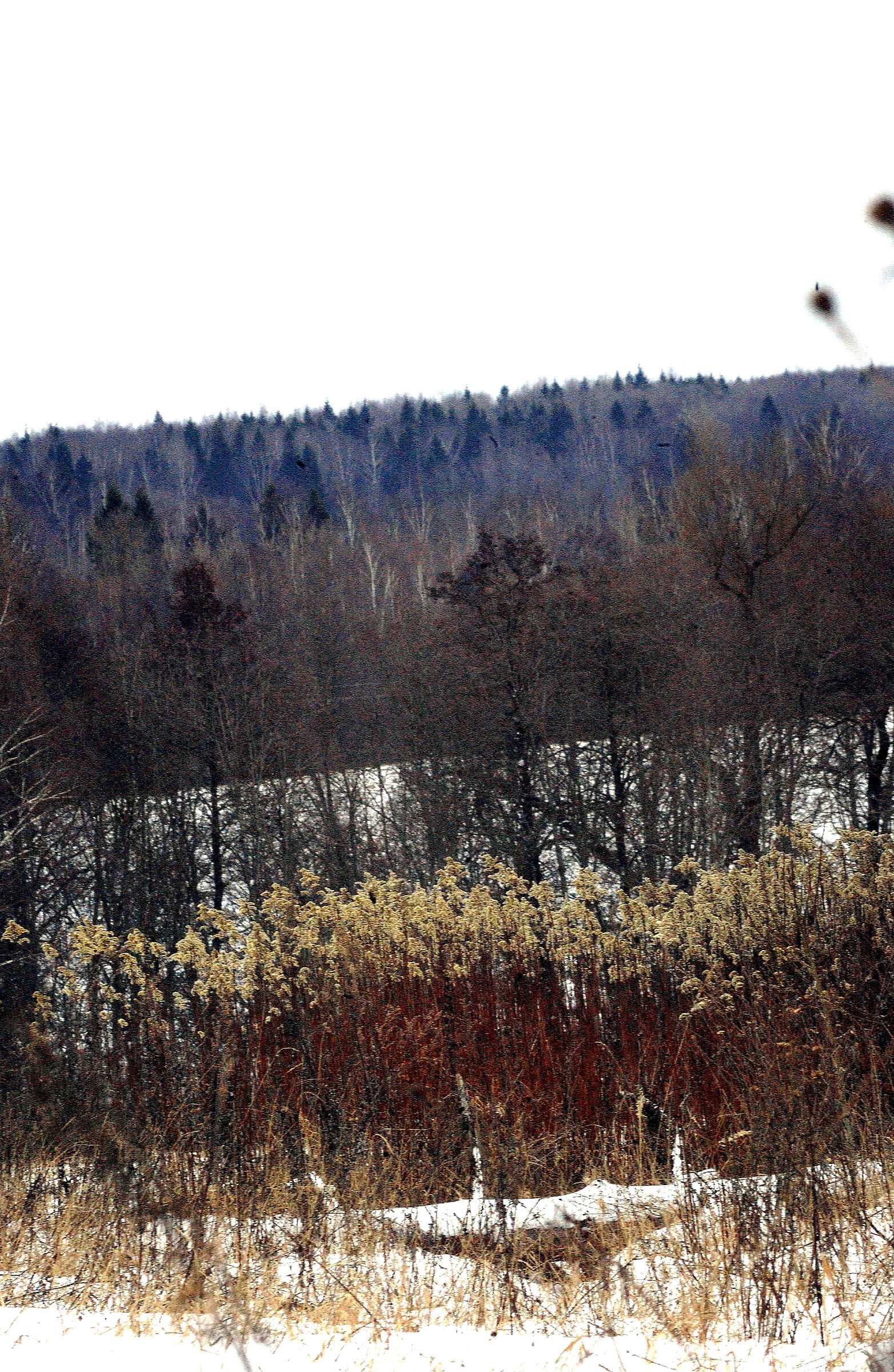 L'ultimo giorno di marzo. Ritorno all'inverno.