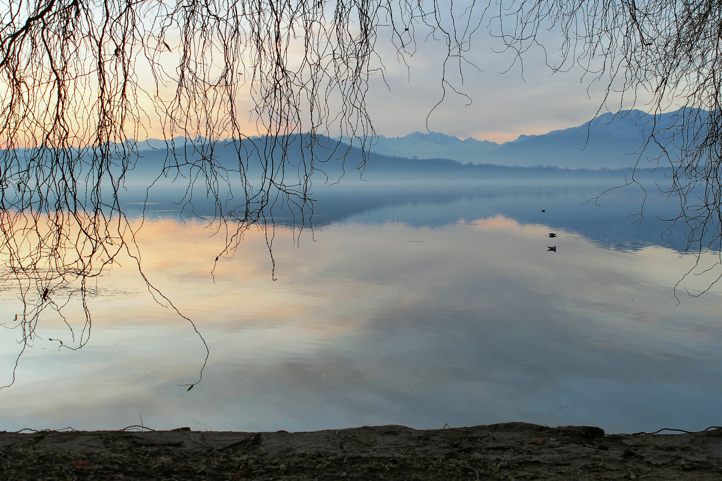 L'ora che volge il disio