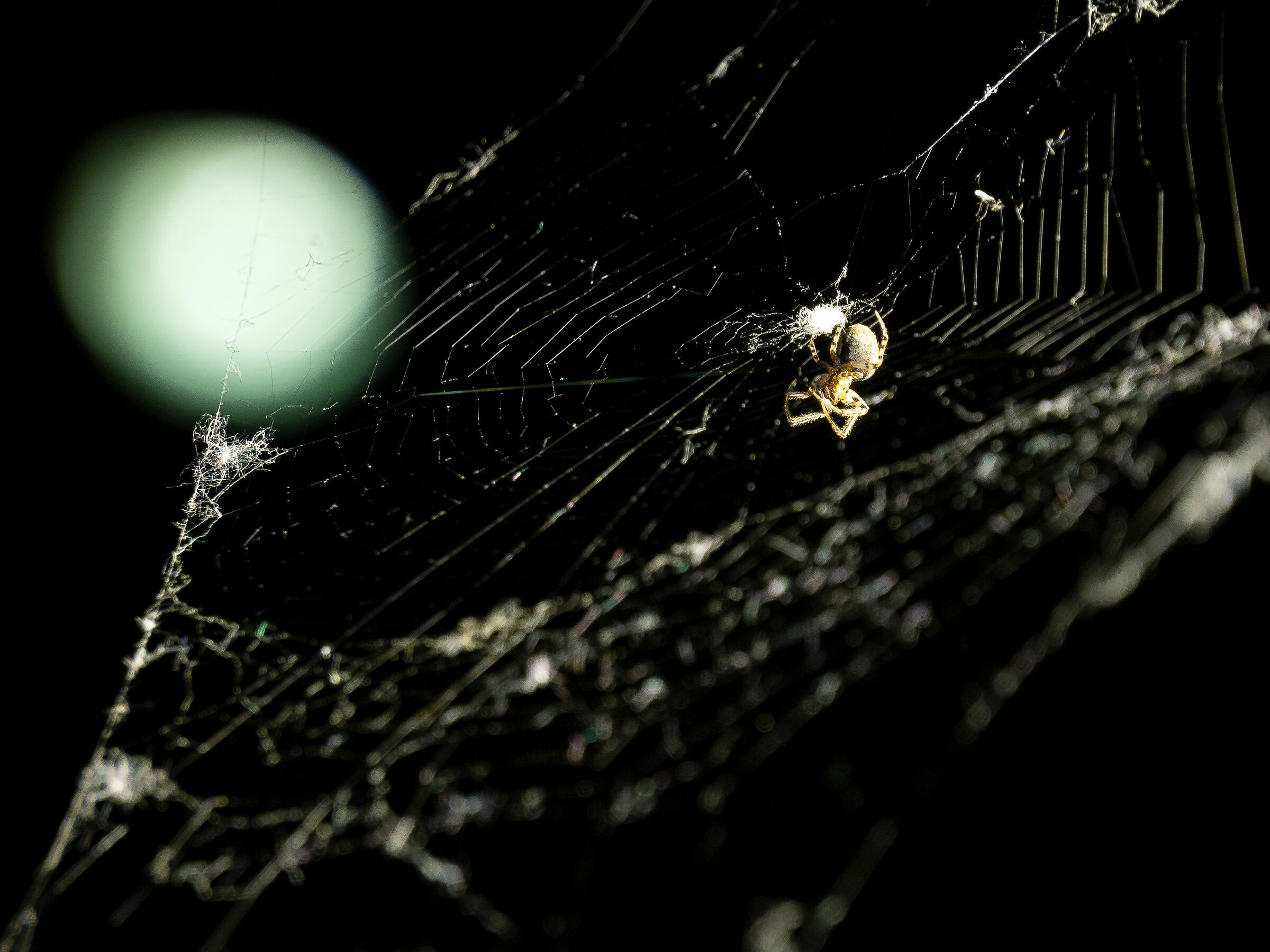 I Miss You- blink 182