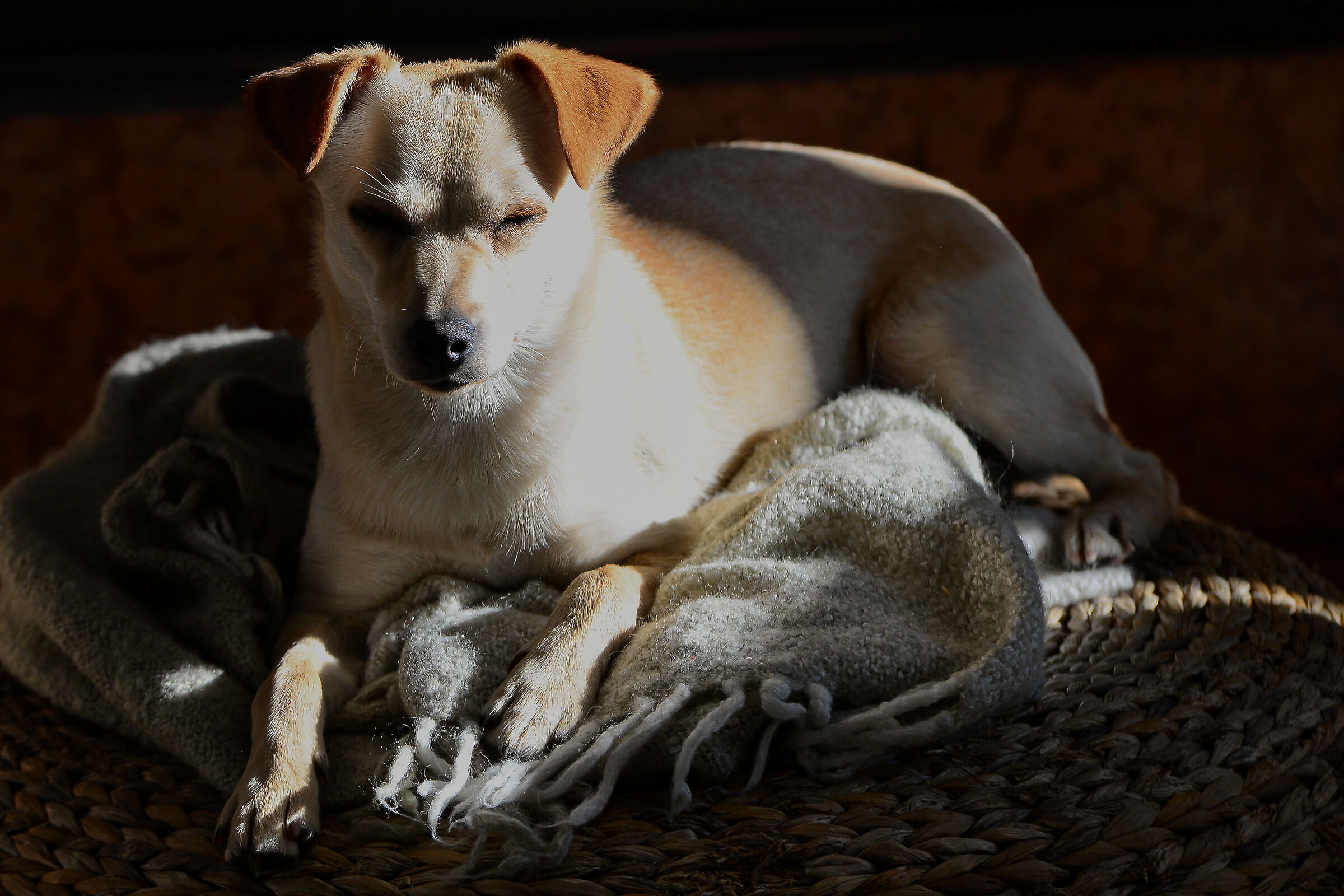 mi godo il sole (1)