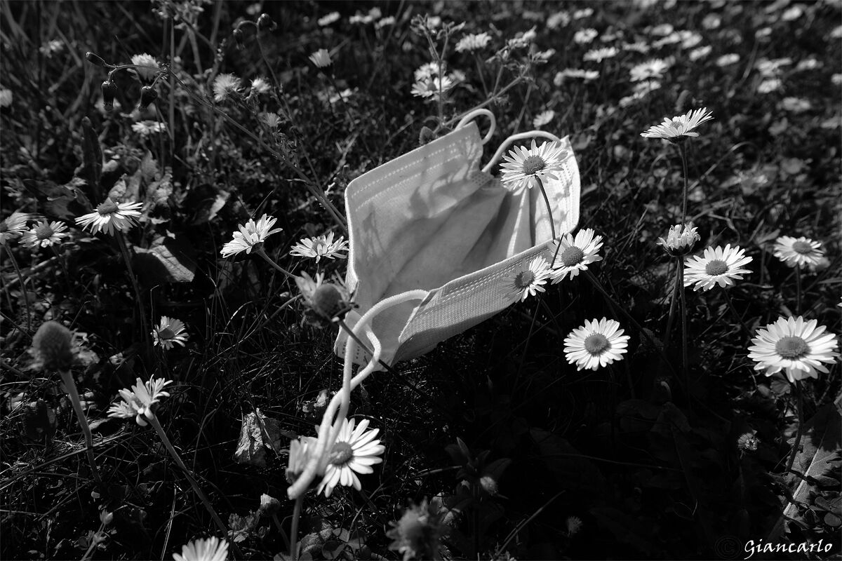 la forza della natura