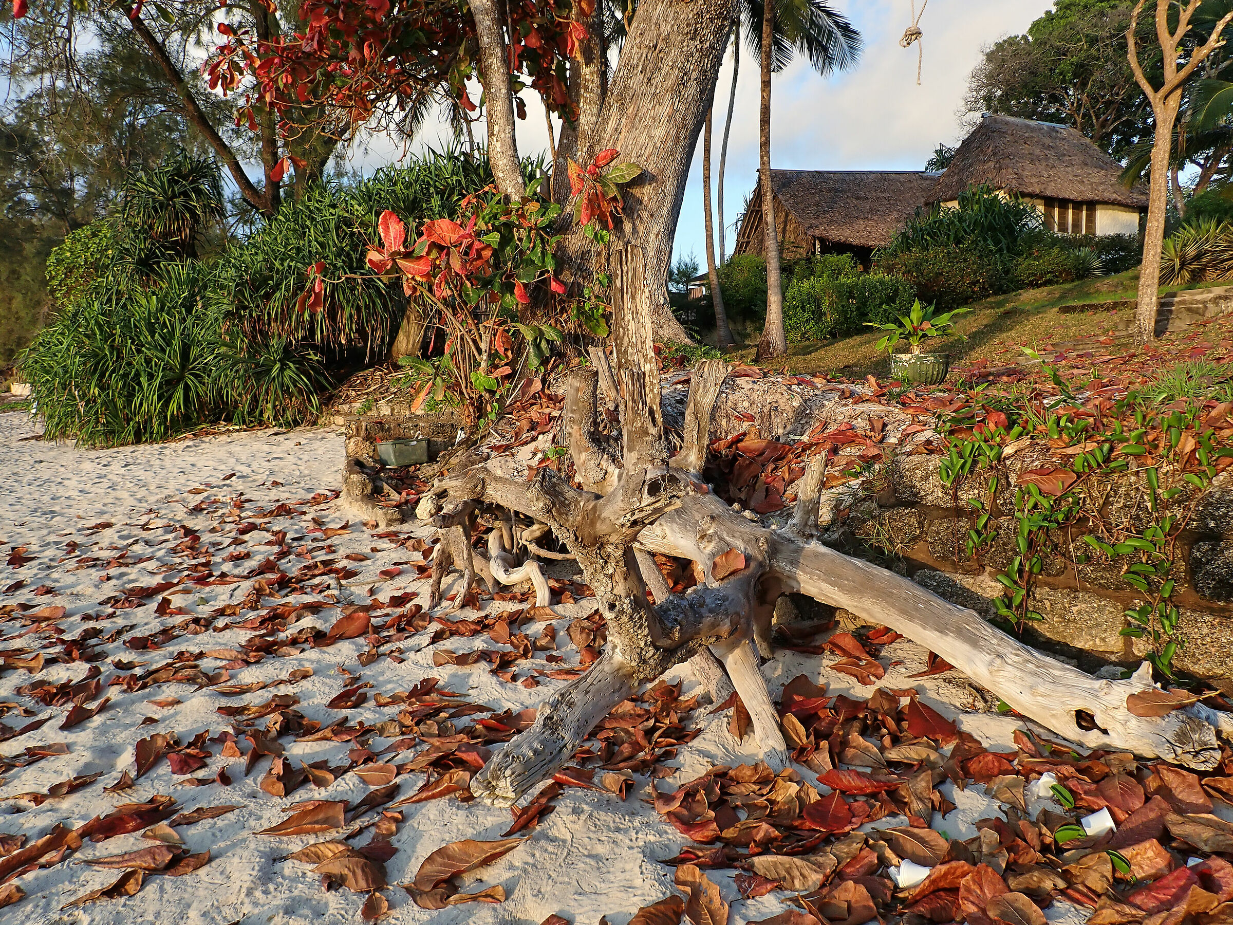 Diani Beach (kenya) 1