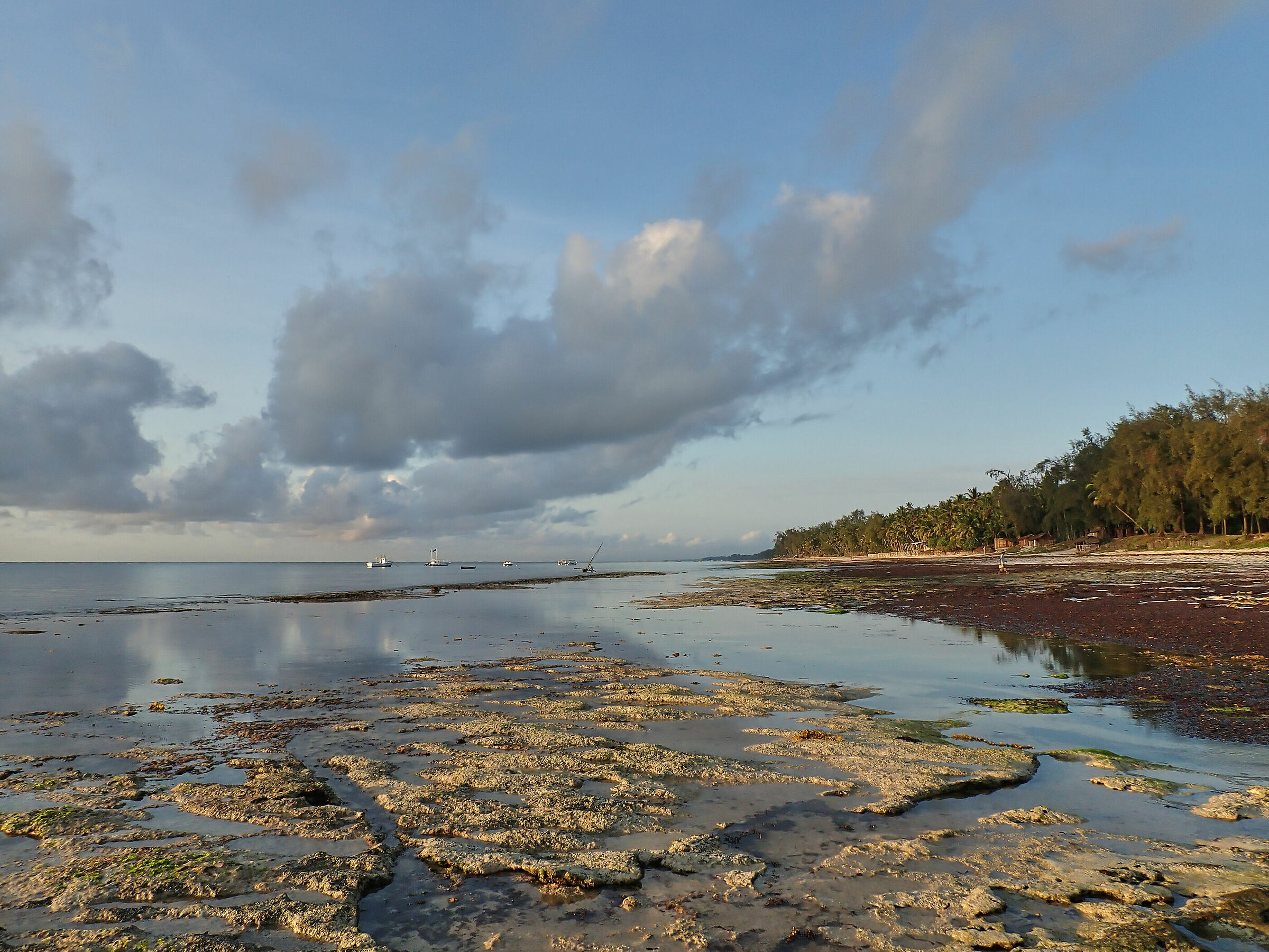 Diani Beach (kenya) 2