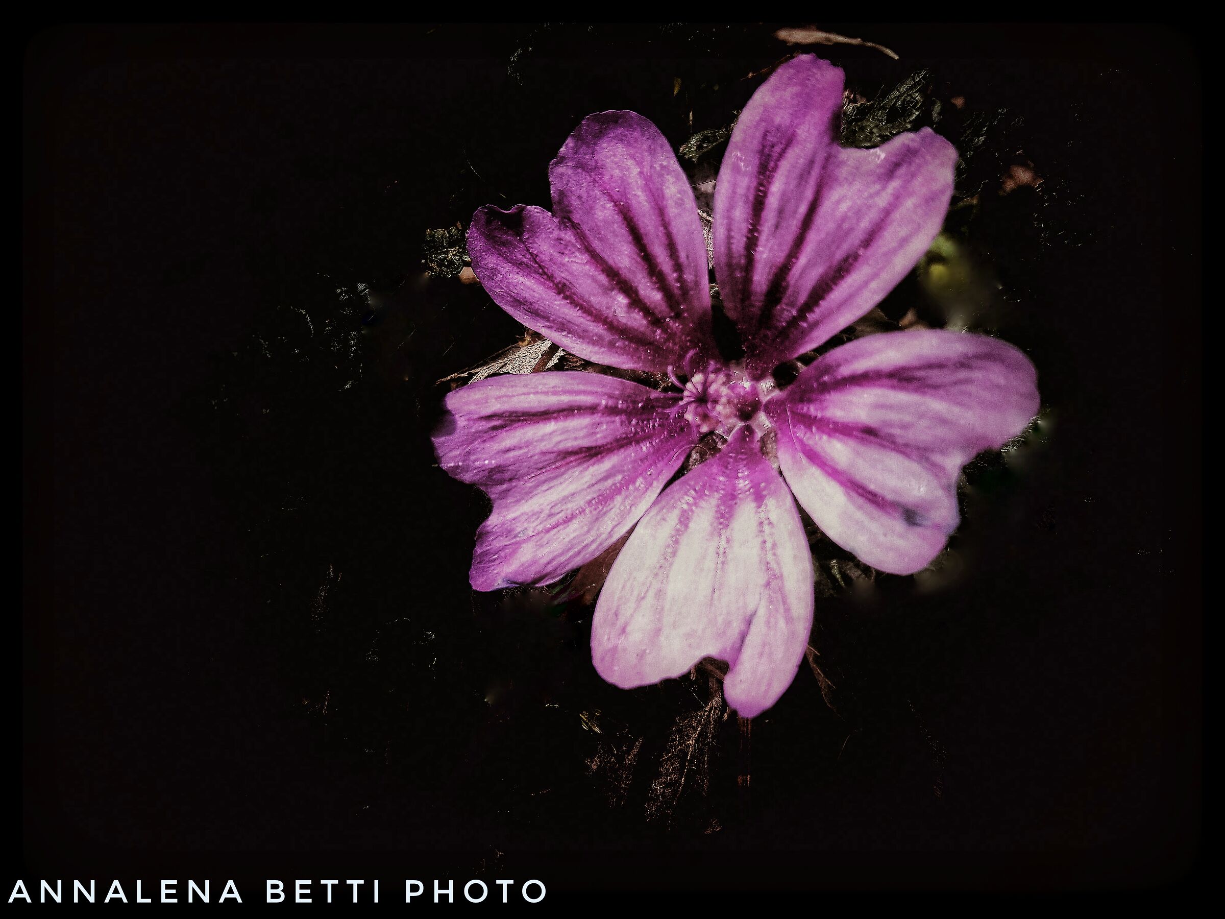 A photo taken quickly and on the move